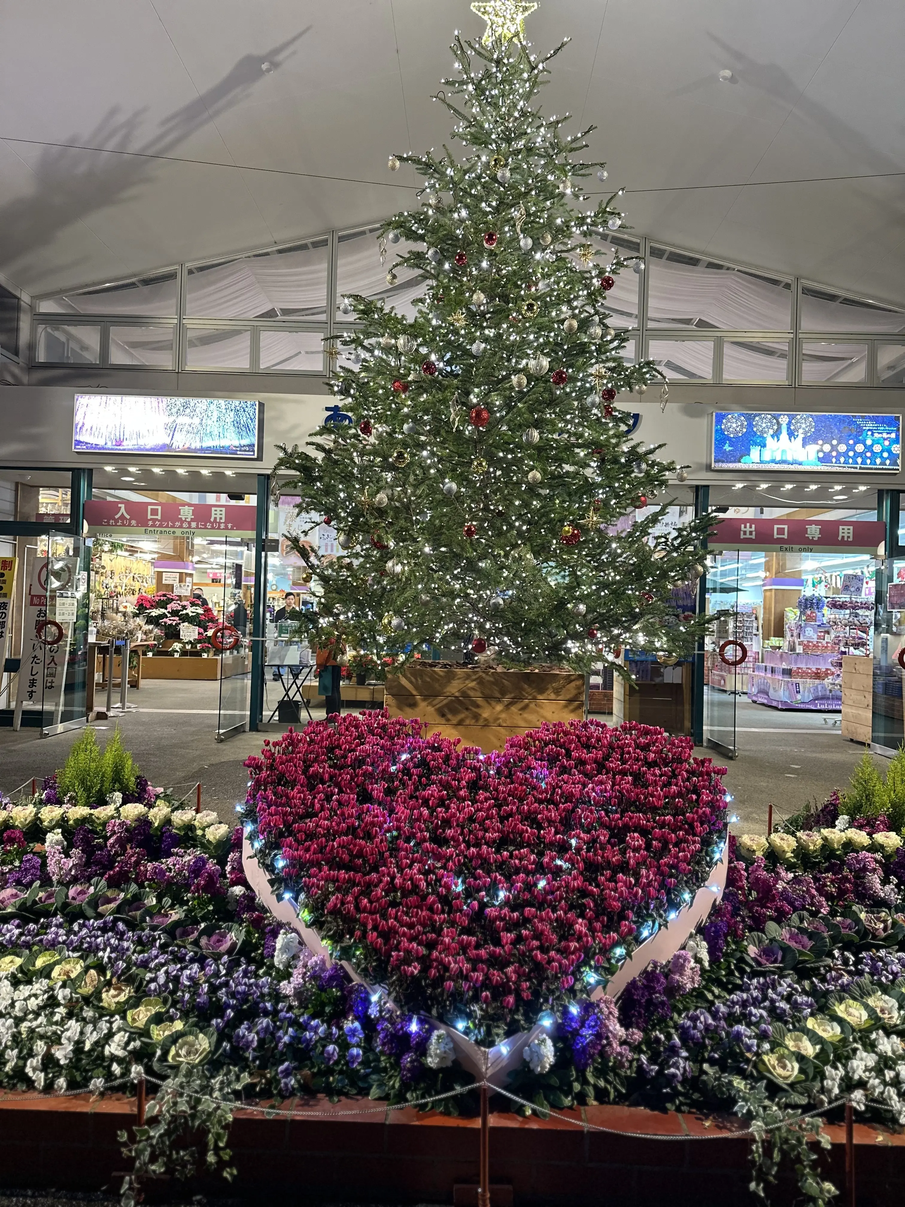 ため息が出るほど綺麗なあしかかフラワーパークへ_1_1