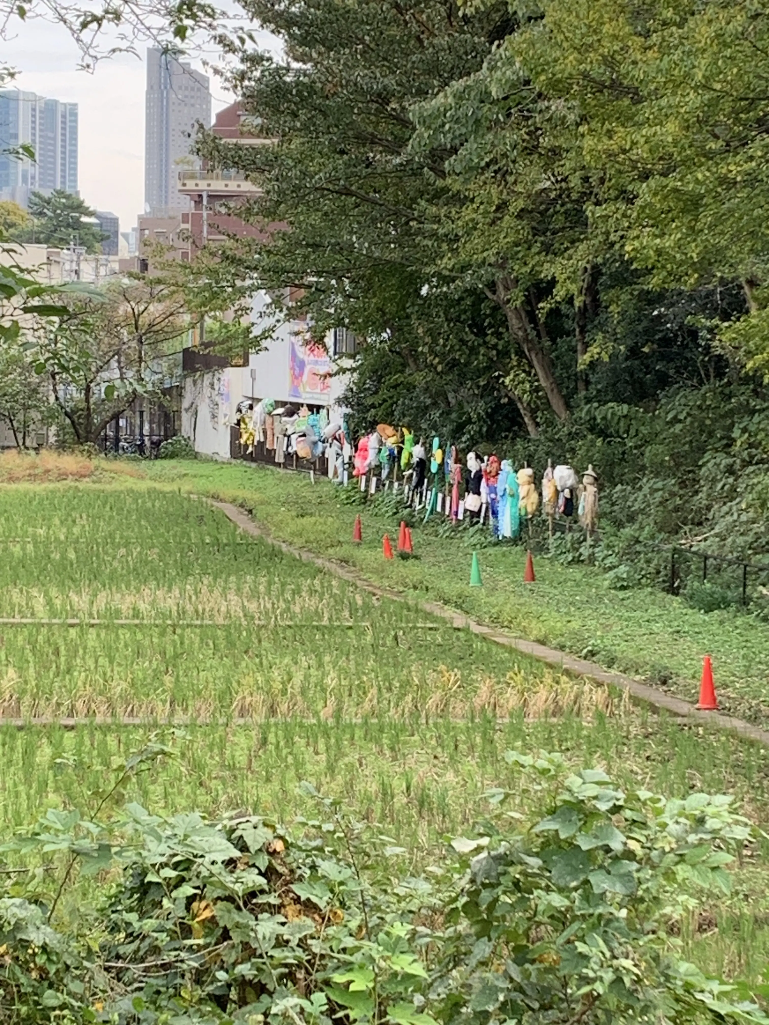 【一駅ズラし街歩き】下北沢のお隣「池ノ上」から「駒場東大前」へ_1_8