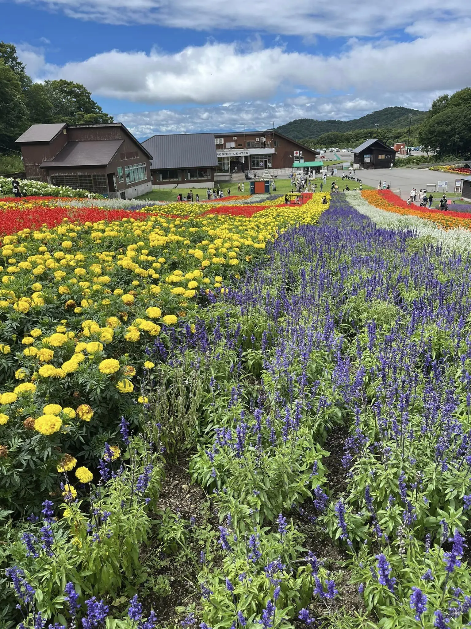 ラベンダーパークと滝。自然満喫のの夏の群馬ドライブ。_1_10-1