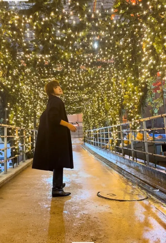 秋の雨と東京タワー。_1_1