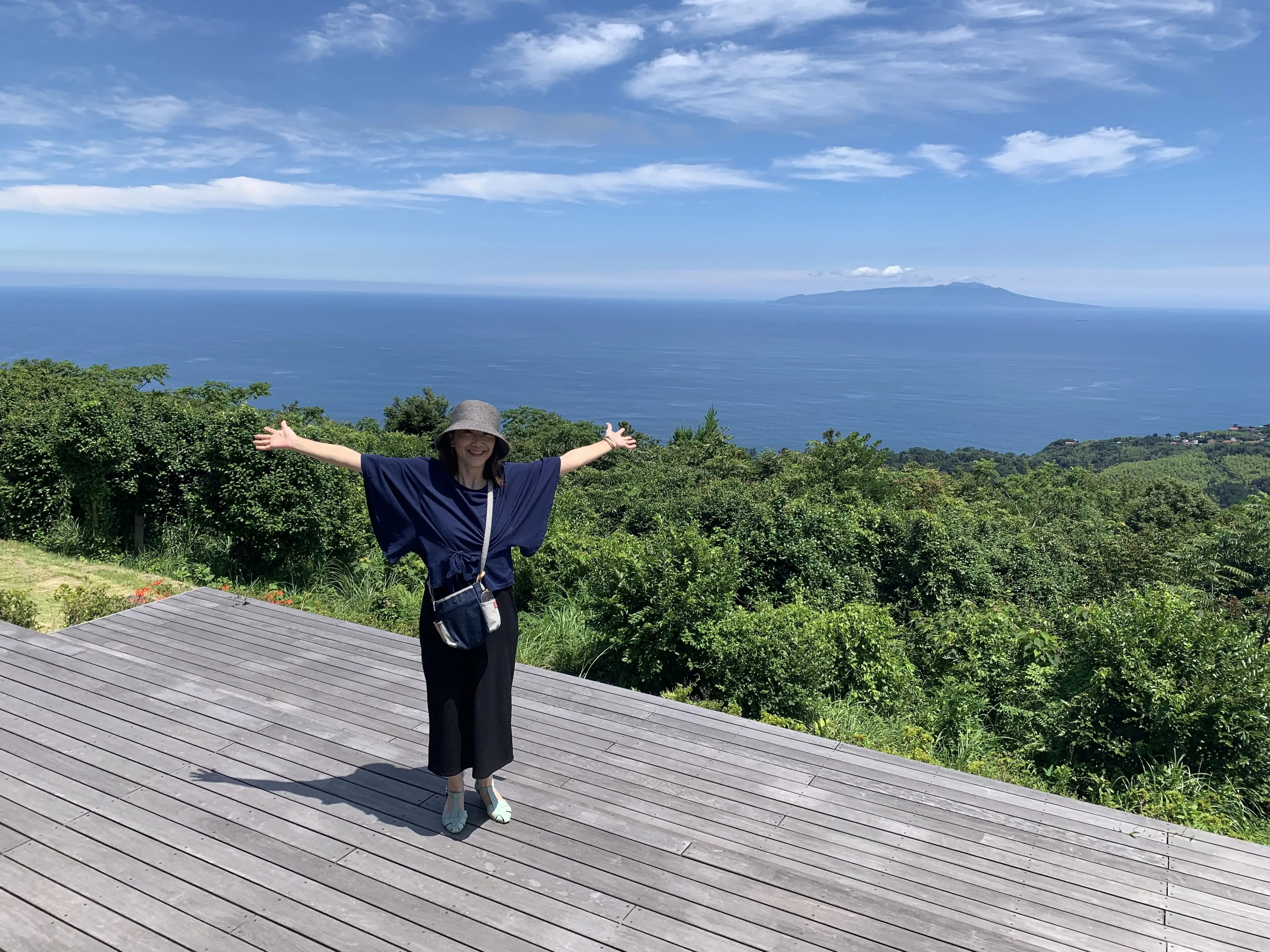 ステップテラスから見える伊豆大島