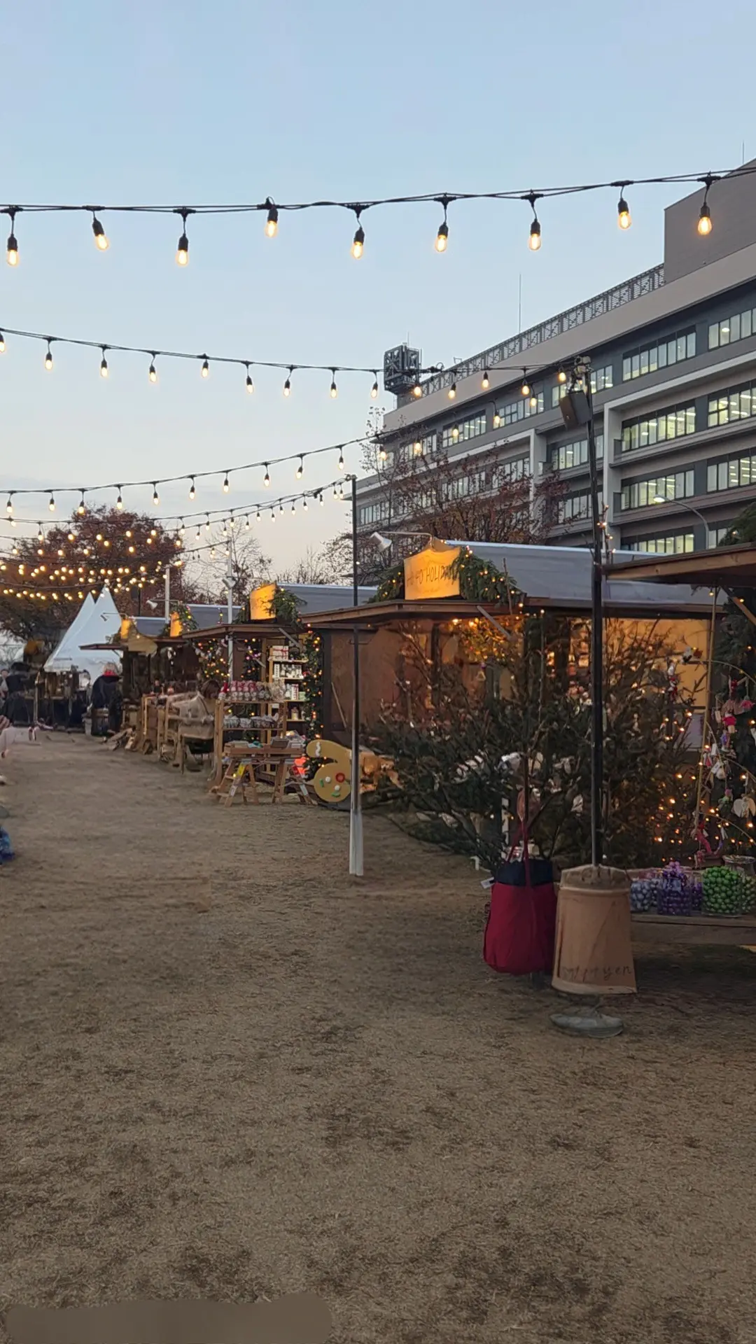 横浜で過ごす、光と味わいのひととき♡_1_2-1