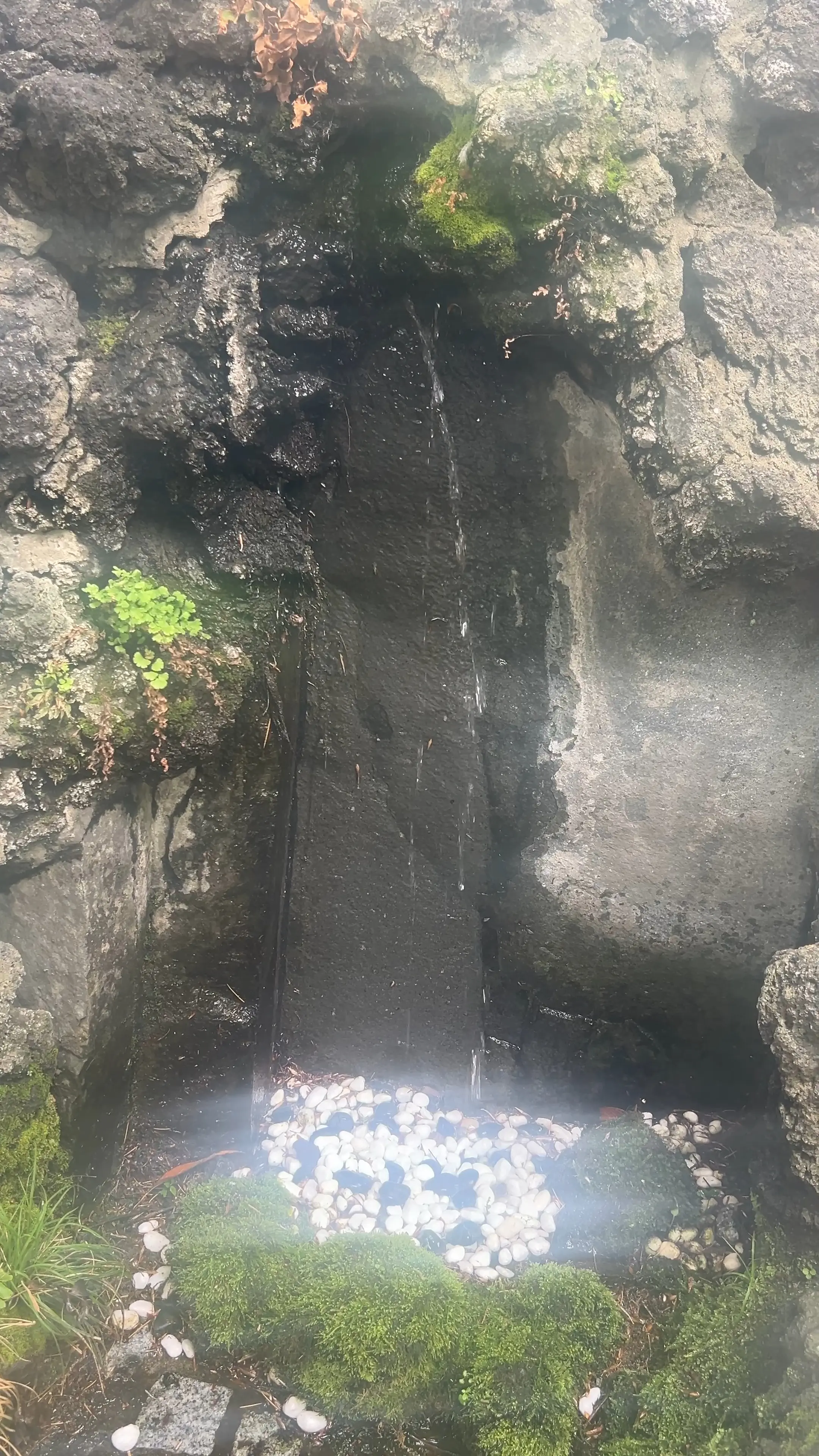 ふらっと日帰り一人旅〜東京神社めぐり〜_1_8