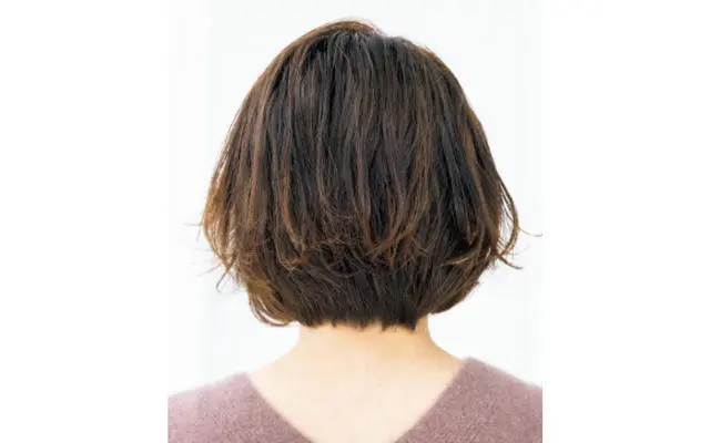 後から見たレイヤーボブヘアスタイル