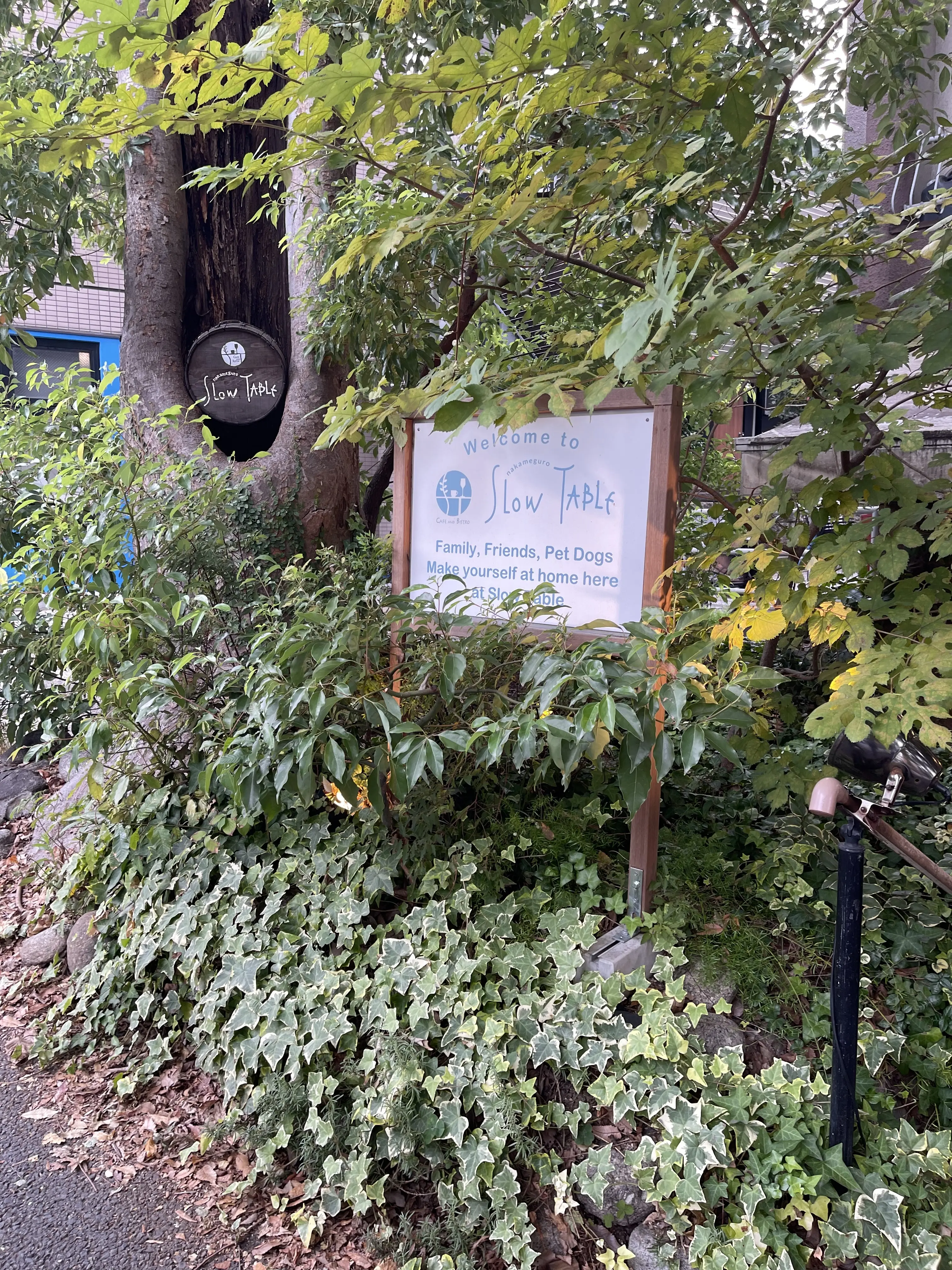 UNIQLOのベロアパンツとピンクニットで中目黒散策_1_3