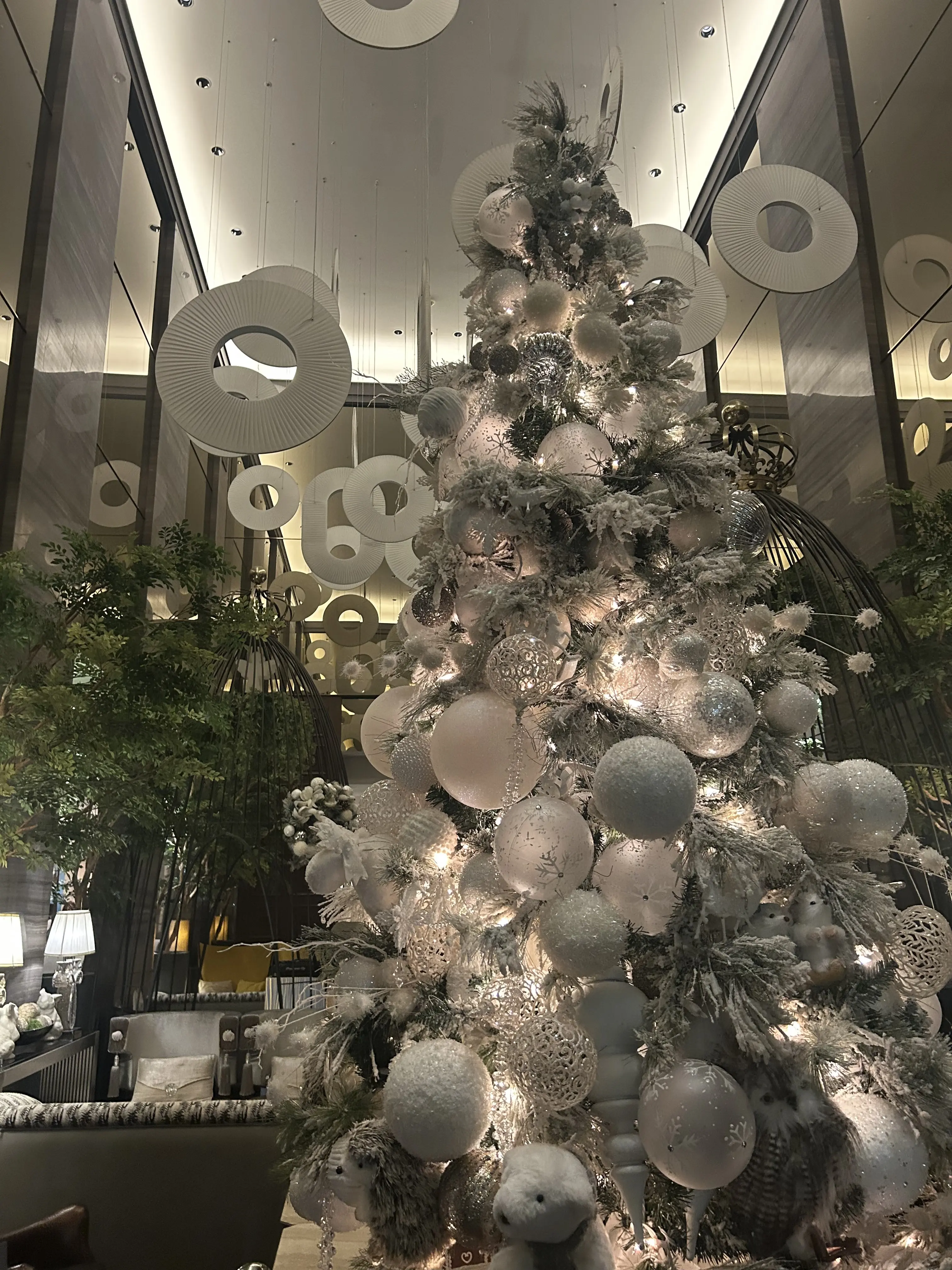 LaurentPerrier（ローラン・ペリエ ）「グラン シエクル No.25」で乾杯！　ソワレ・ドゥ・エクラ2025 _1_3