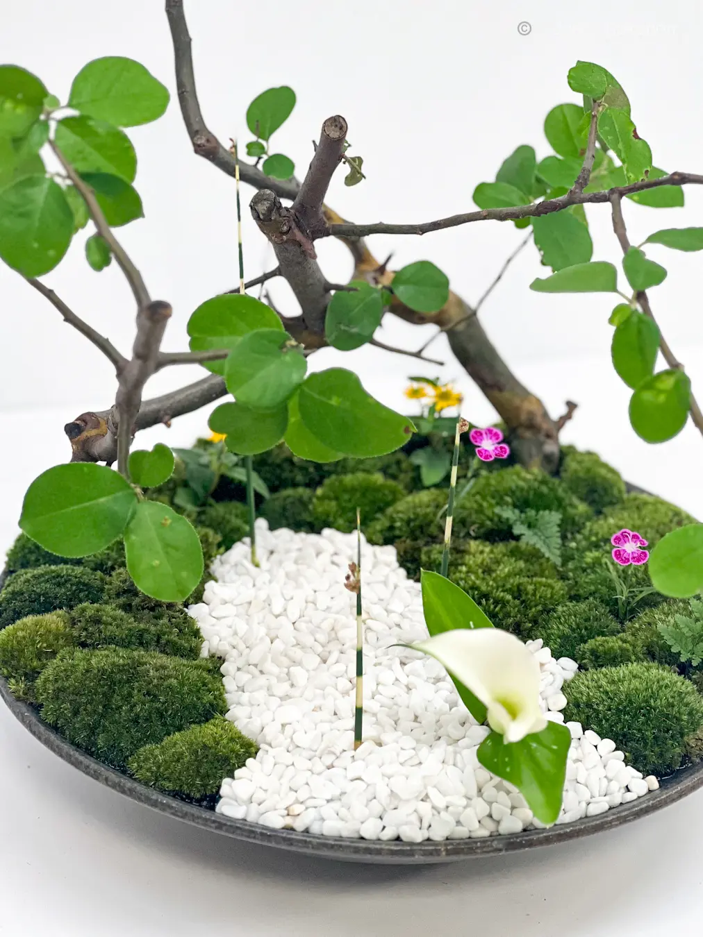 【日本橋三越】池坊 いけばな展にて_1_1