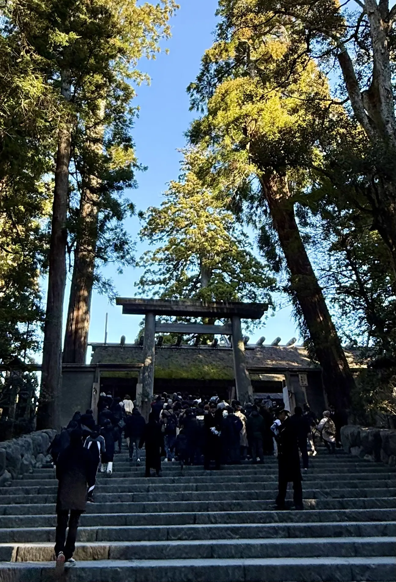 伊勢神宮　初詣　早朝初詣　午年　神馬　三重県　初日の出　ご来光　朝日　五十鈴川　荒祭宮　おかげ横丁　赤福　赤福本店　赤福餅　二見興玉神社　外宮　　内宮　夫婦岩　二見興玉神社　おみくじ　大吉　2026年　日の出　五十鈴川