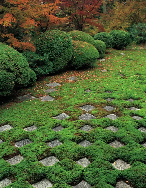 時代の巨匠のことを知ると、より感動を味わえる！　「作庭家」でめぐる京都の名庭_2_2-2