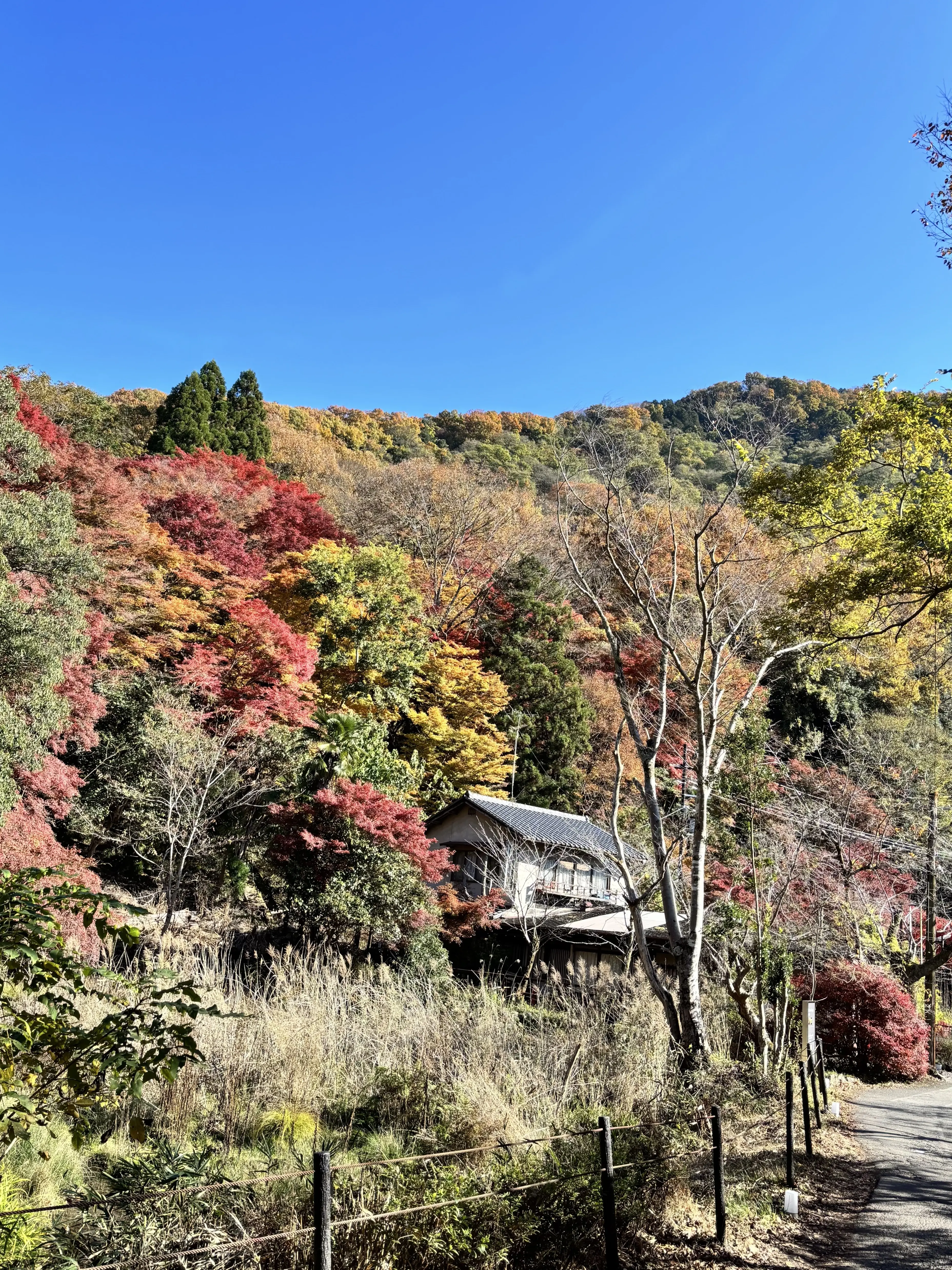 京都　八瀬比叡山口