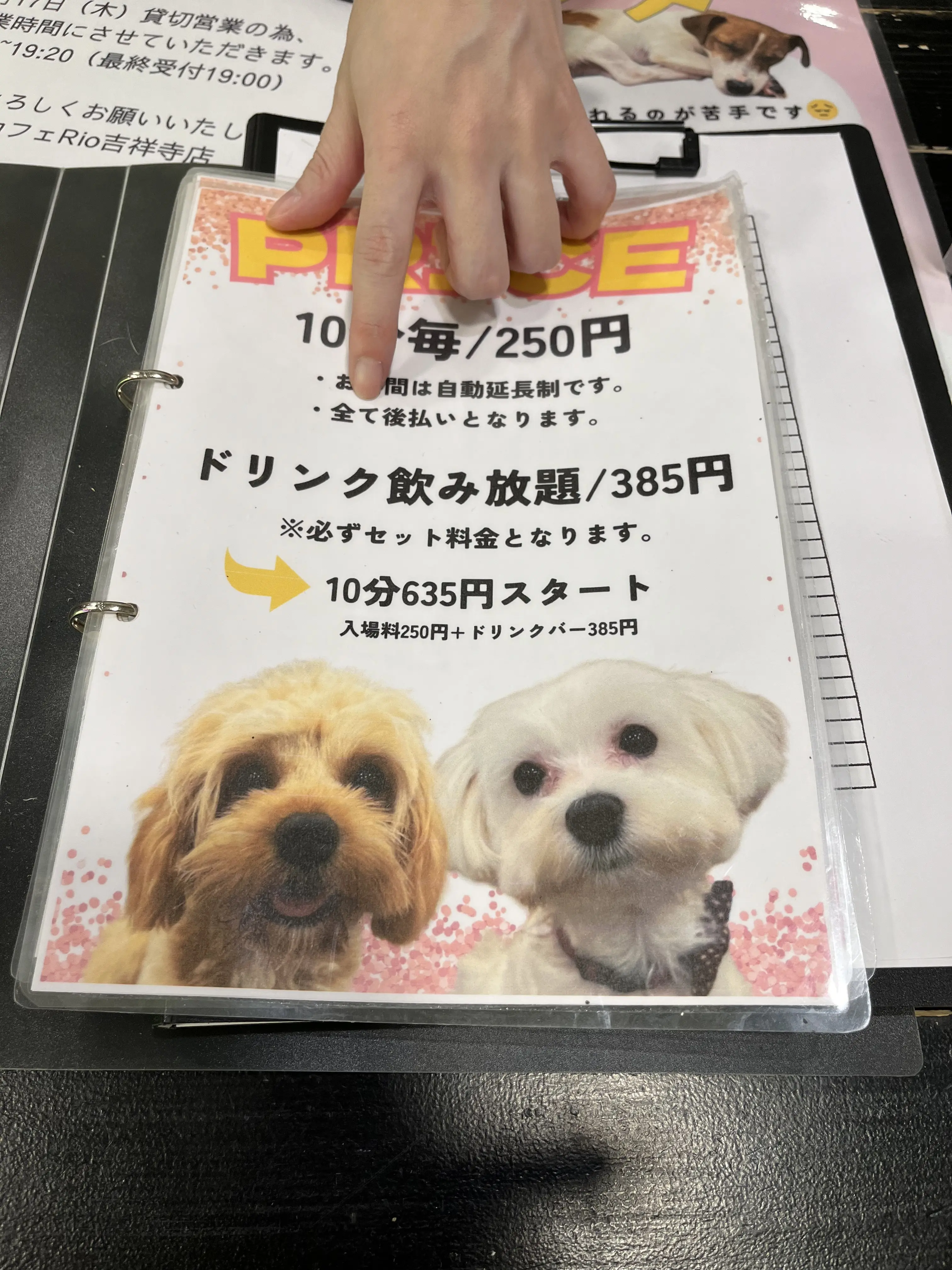 初めての犬カフェへ_1_3