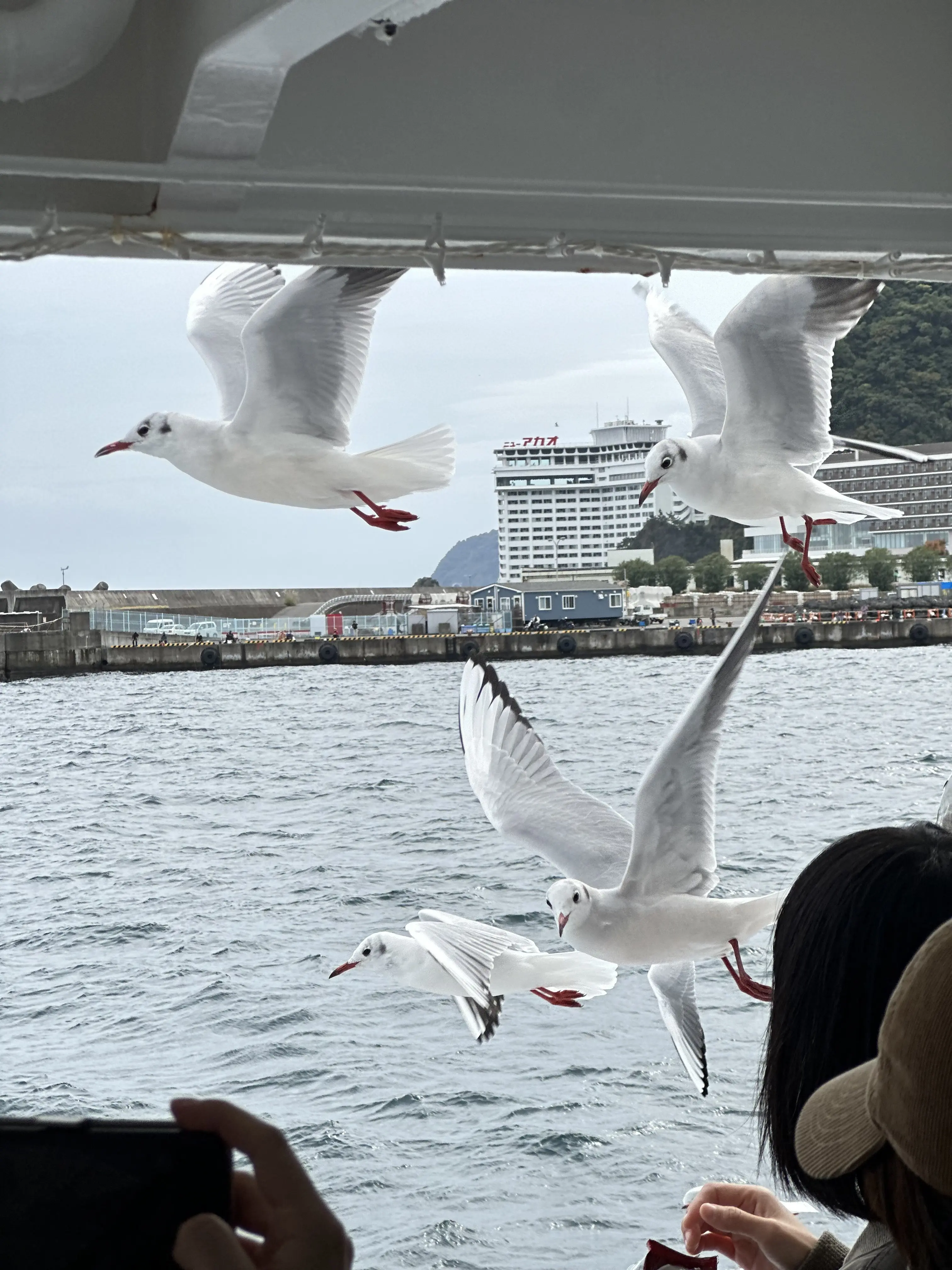 マントコートで冬の初島旅を楽しみました。_1_2-1