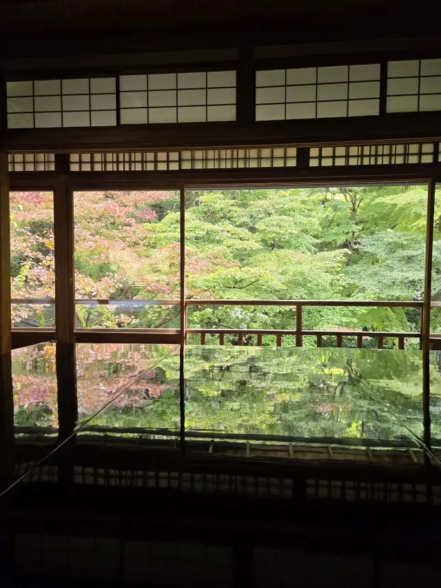 秋の京都ひとり旅・中編 ～瑠璃光院から詩仙堂へ〜わずかな時間も特別な京都の午後_1_6