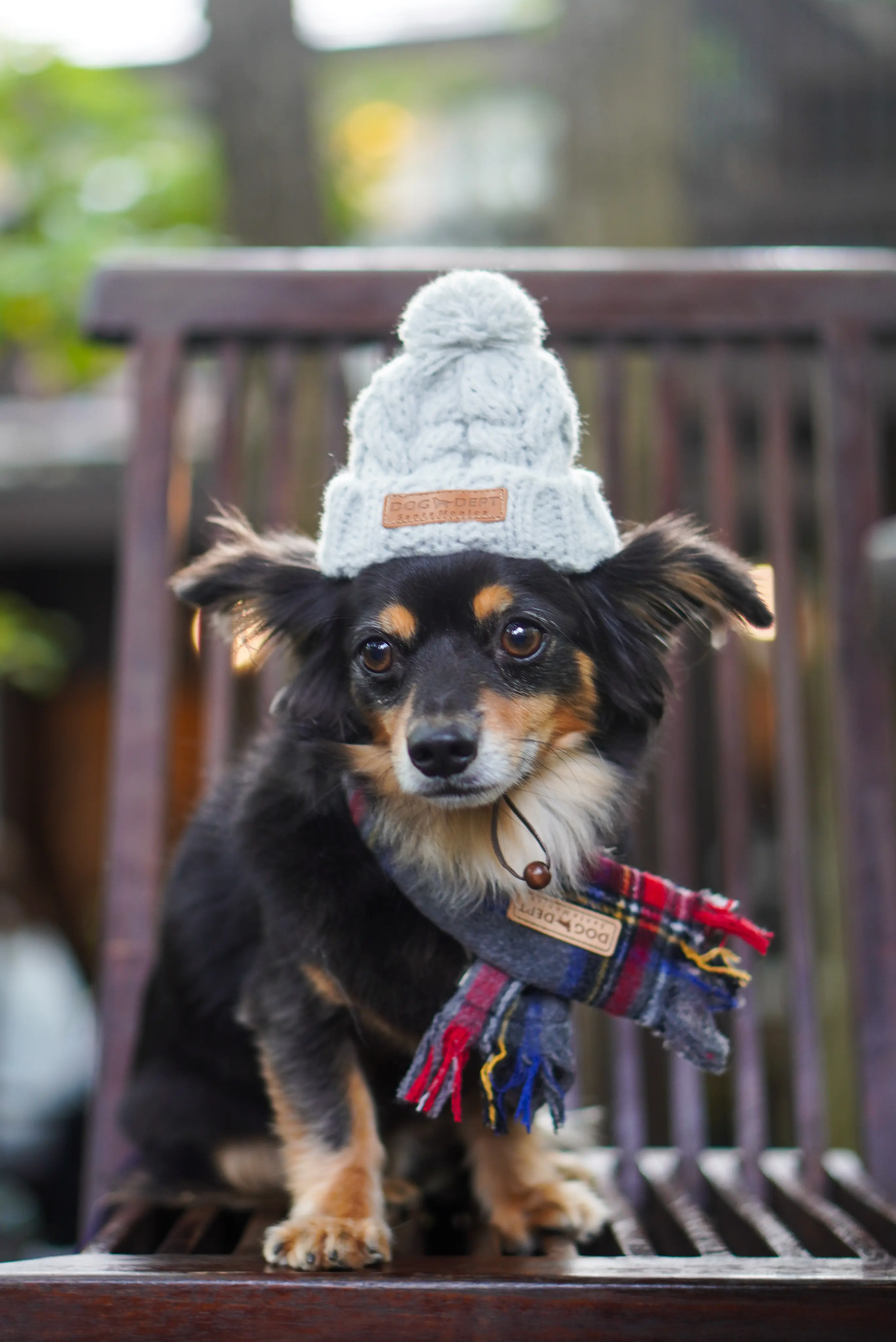 【秋の那須旅行①】超人気ベーカリーレストラン「ペニーレイン」、千本松牧場で馬と触れ合い_1_4-1