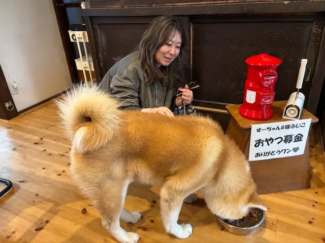国内旅行 秋田 秋田旅行 角館 大曲 秋田犬 花火大会 武家屋敷 秋田土産 秋田銘菓 比内地鶏 羽田空港 秋田空港 日本酒 地酒 地ビール 桜 花見 もろこし 日本三大花火 秋田駅