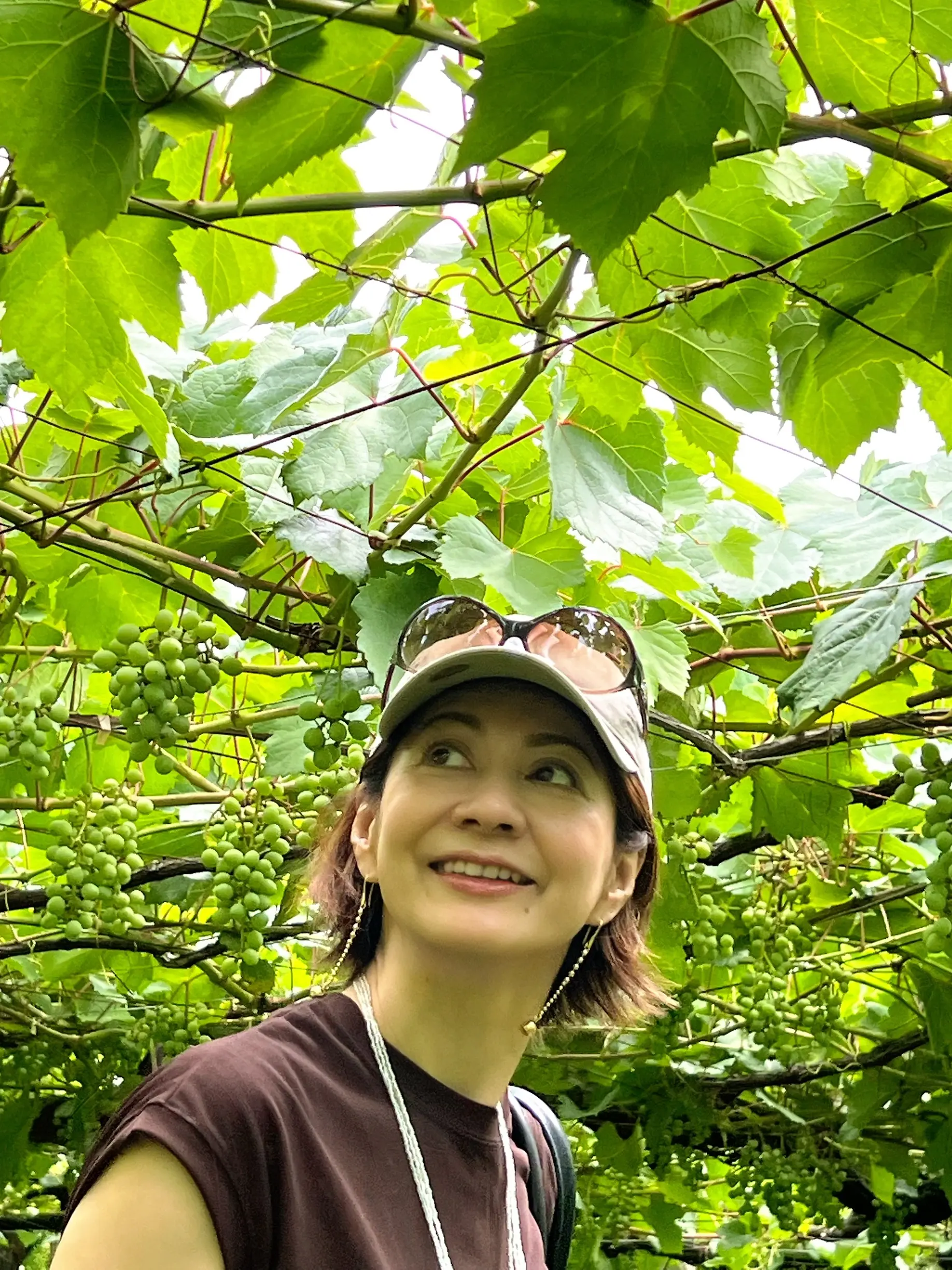 築200年の古民家カフェでピザランチと甲州ワイン_1_10