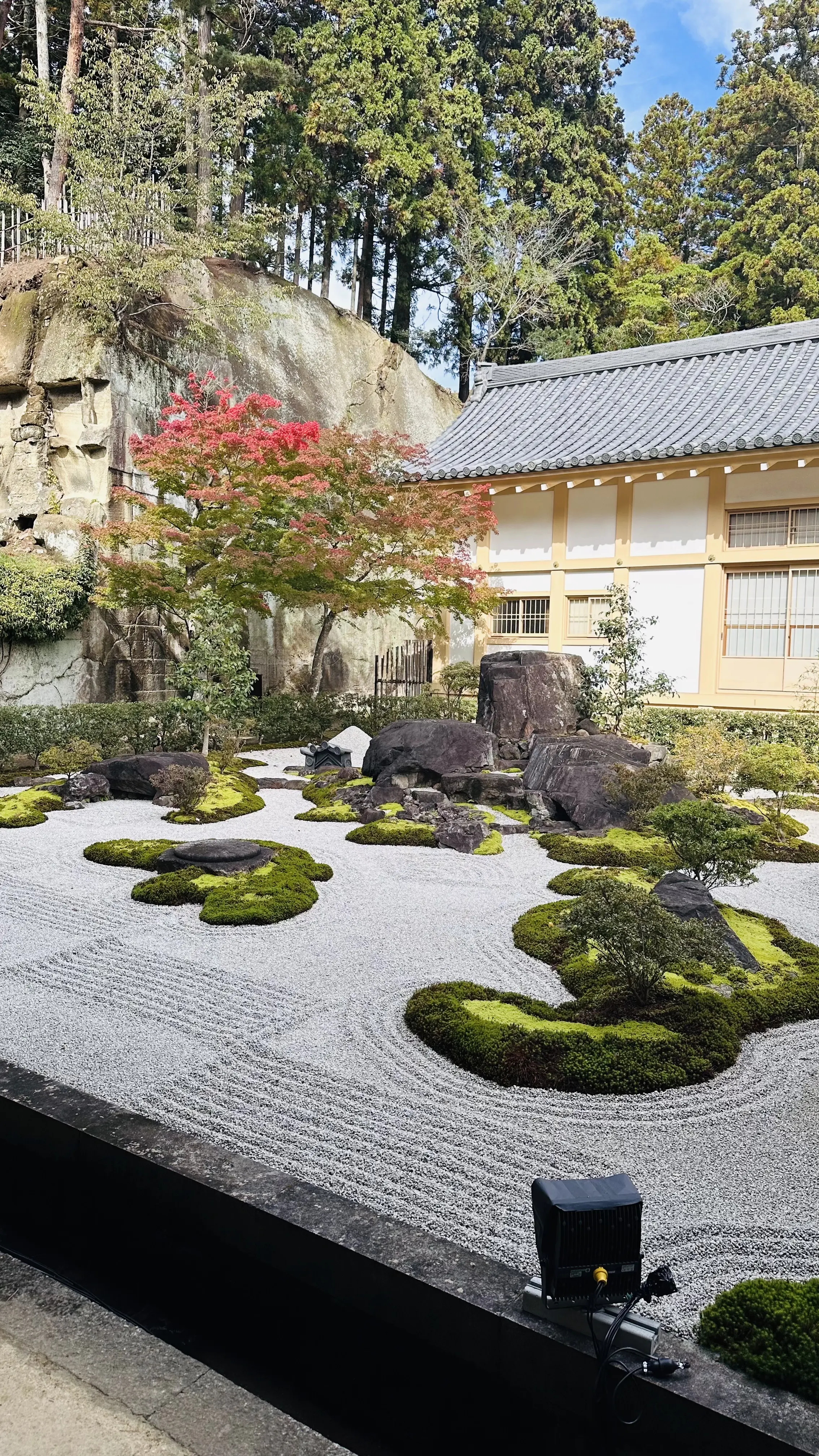 【秋の仙台旅行】「宮島」と「瑞巌寺」で鷹匠🦅にチャレンジ_1_14