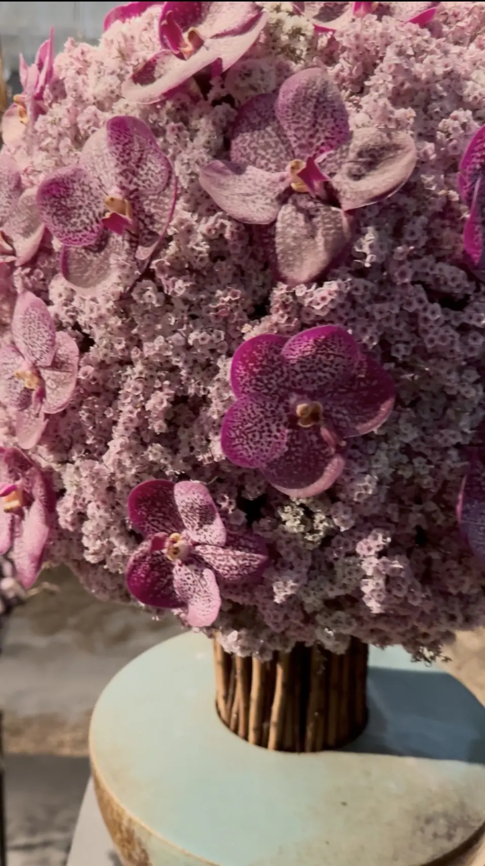 【スペシャルラッキーDay】お花に囲まれまさかのサイン会!_1_7