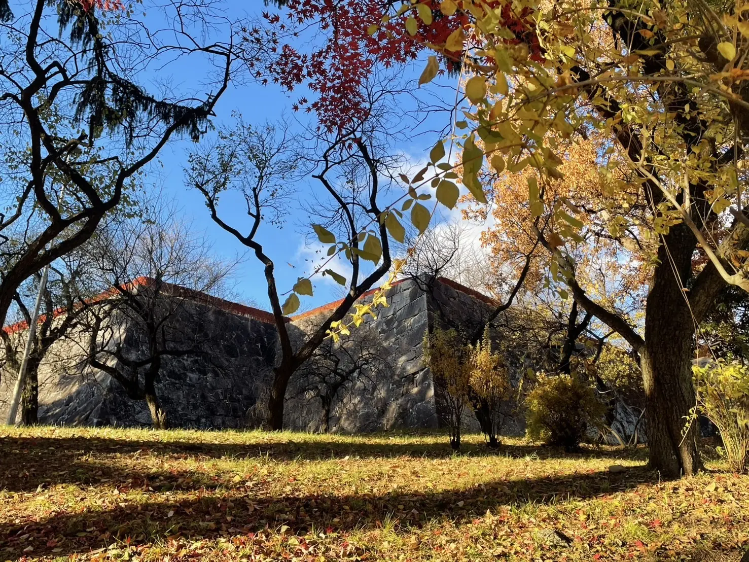 岩手公園　盛岡城　石垣