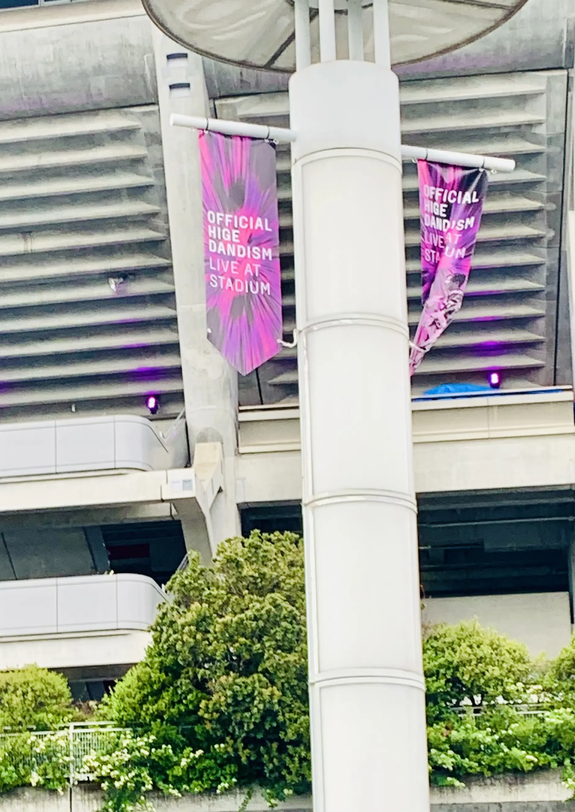 ヒゲダンLIVEでパワーチャージ💪_1_1