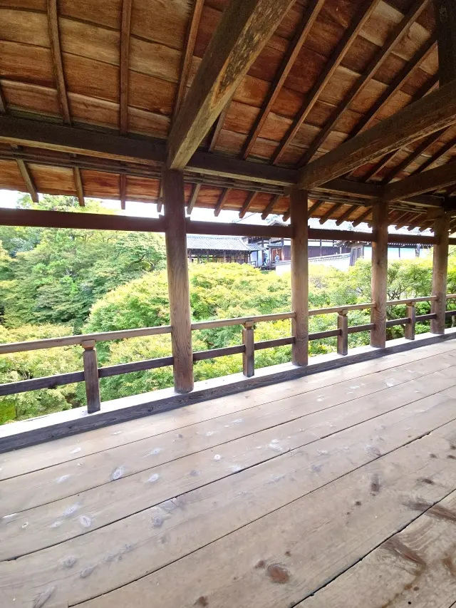 秋の京都ひとり旅・前編 〜弾丸旅の始まりは思い出の場所から〜_1_5