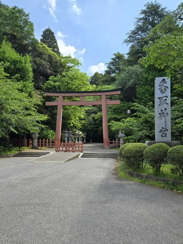 コーディネートで振り返る5月_1_1
