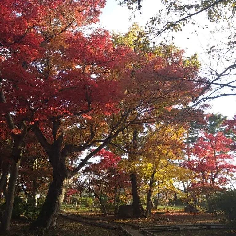 池田邸分家の紅葉・木々