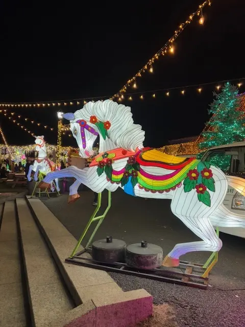 ドイツ村のウィンターイルミネーション素敵でした♪_1_9