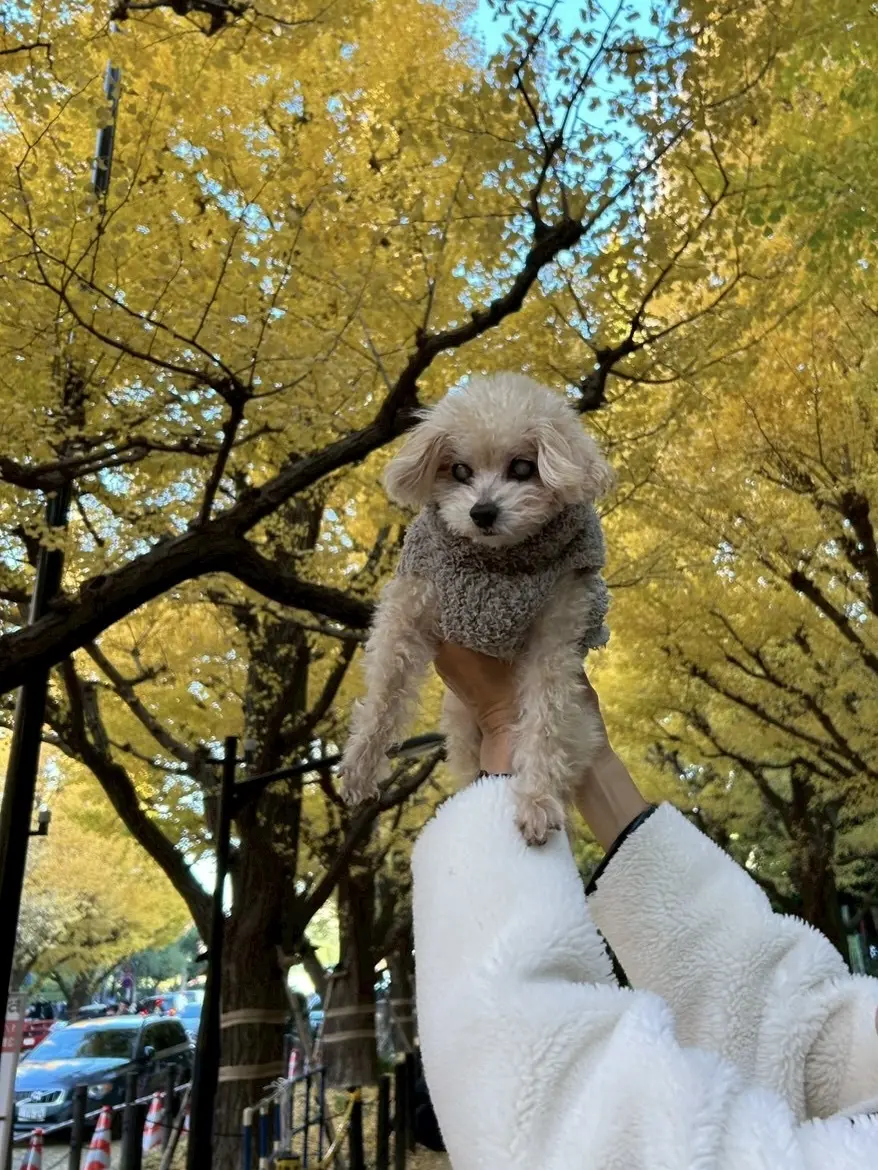 “心地よさ”と“きちんと感”が叶うきれいめスウェットパンツ_1_14-1