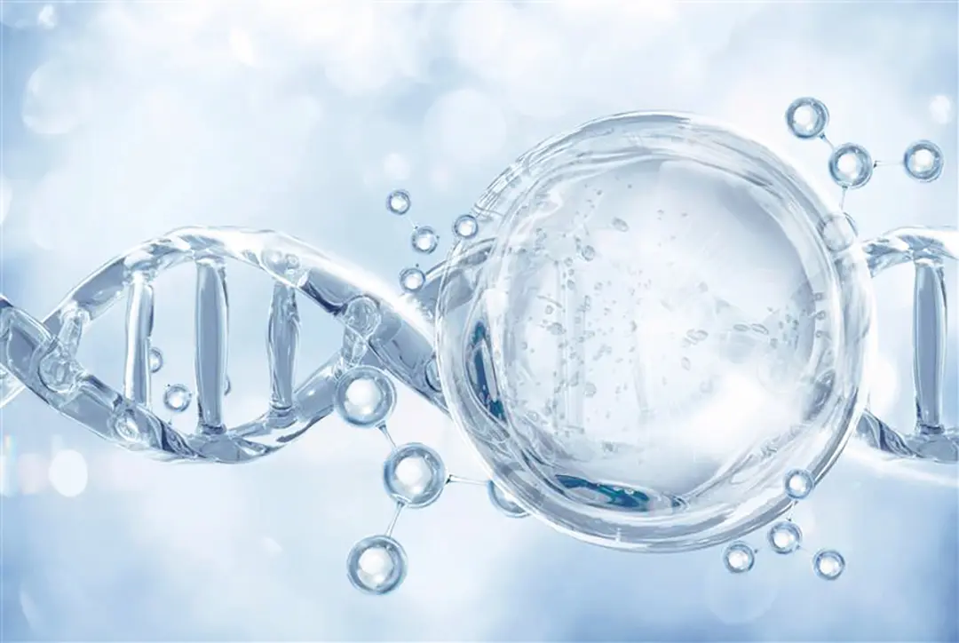 【魅力や効果、先進性etc.。知っていないともったいない！】今知るべき「幹細胞コスメ」、大人の最適解とは？_1_3