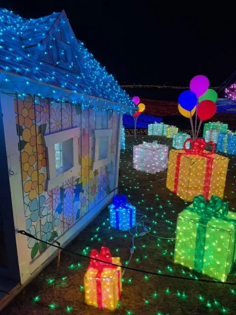 ドイツ村のウィンターイルミネーション素敵でした♪_1_4