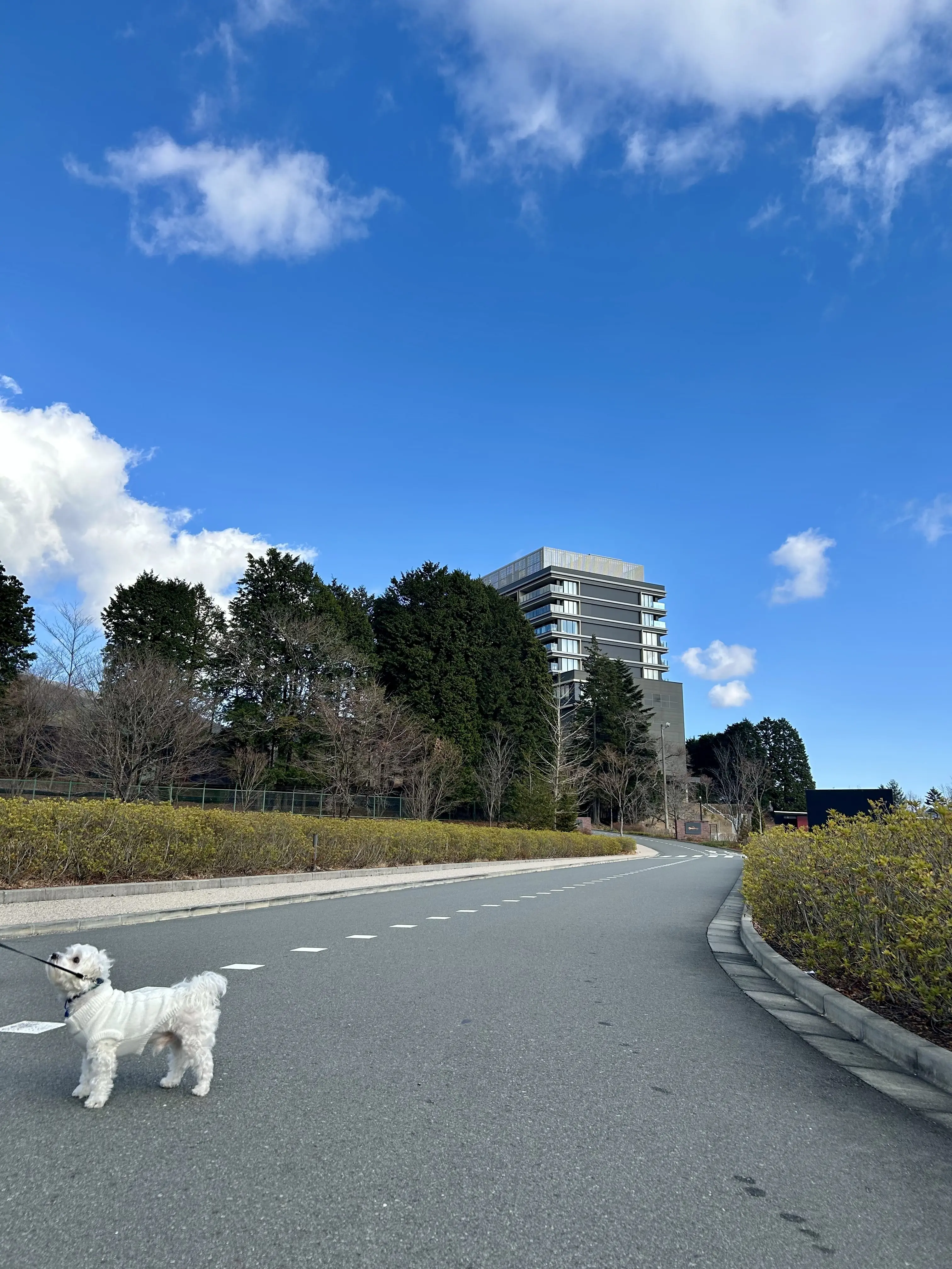 富士スピードウェイホテルで記念日ランチ♪_1_2