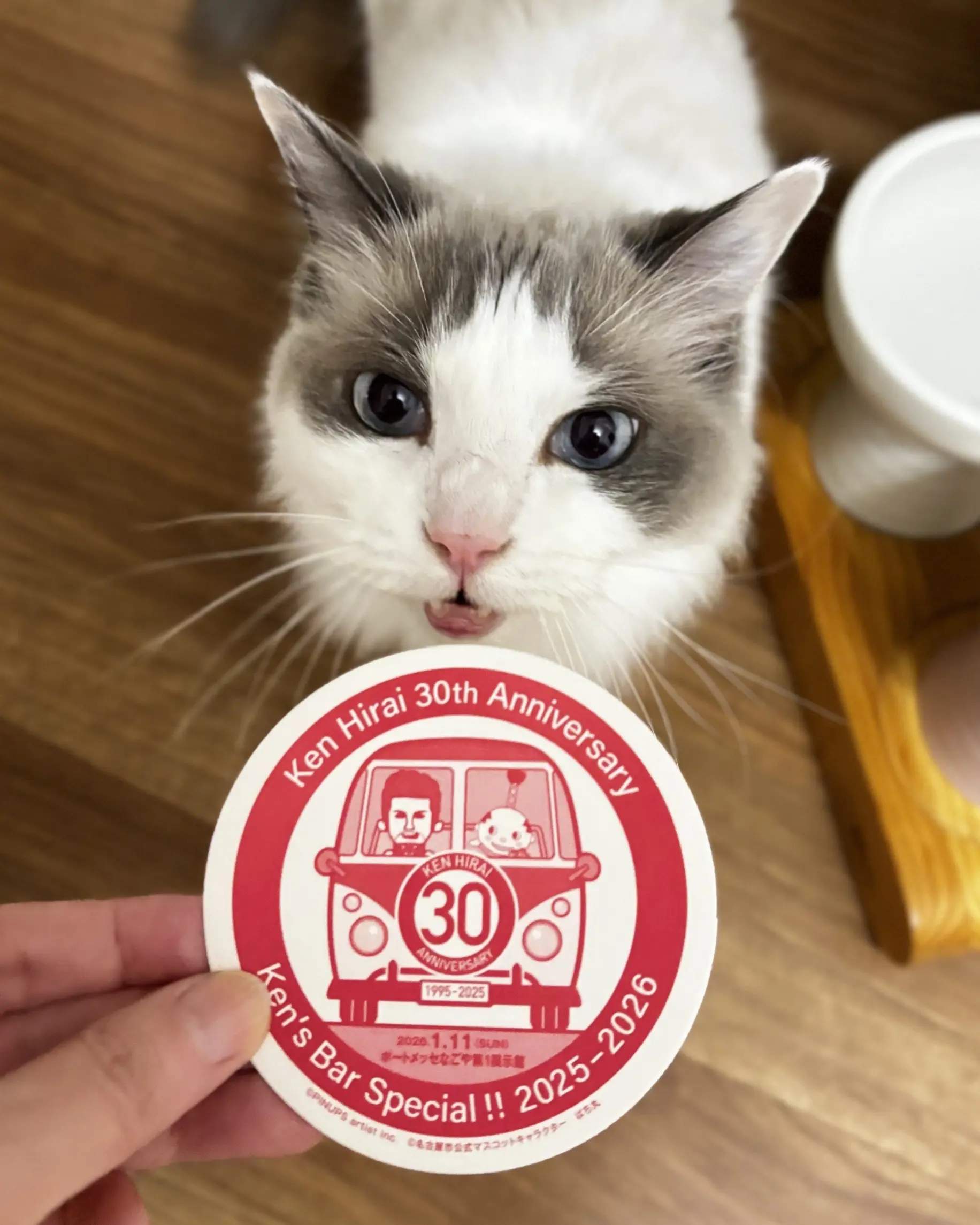 Ken's Barのコースターと猫（上の子）