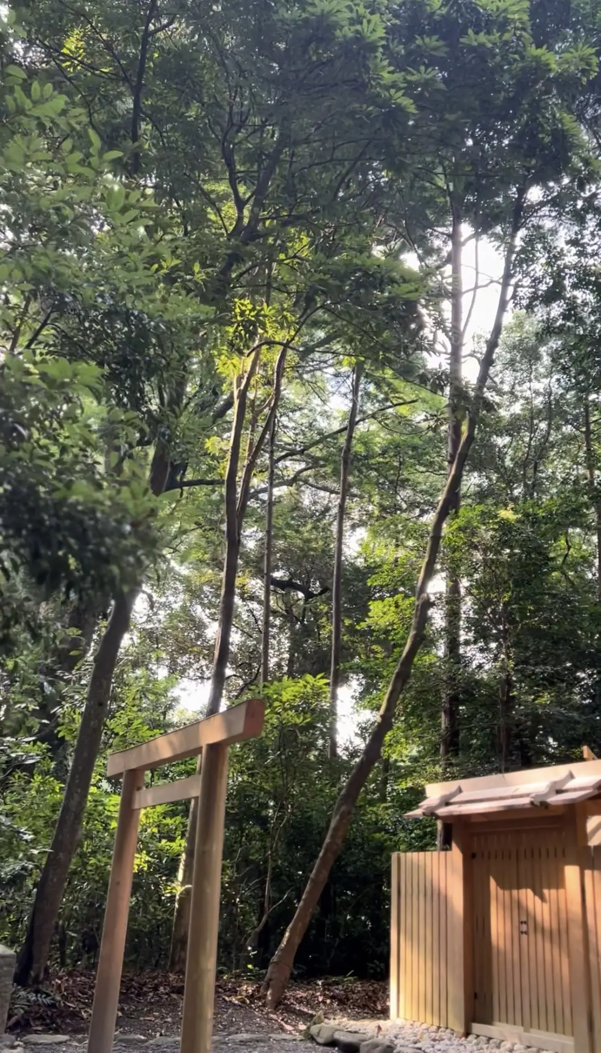 パワースポット【伊勢神宮】を巡る2日間〜外宮編_1_16