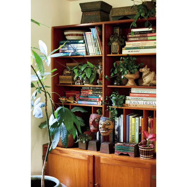 本棚には垂れ下がる植物を本や旅の思い出の品と一緒にあしらう