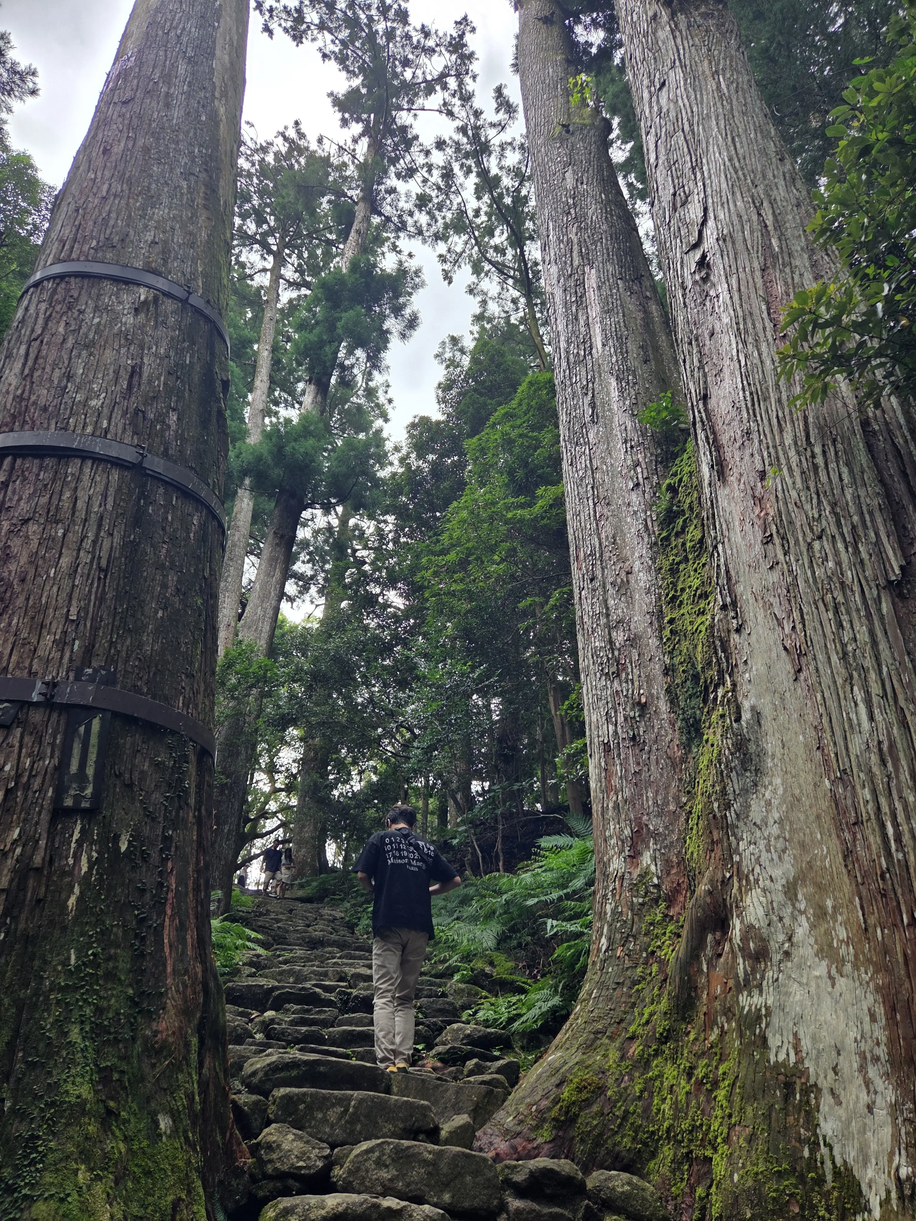 和歌山2泊3日　熊野古道にふれる世界遺産の旅①_1_4