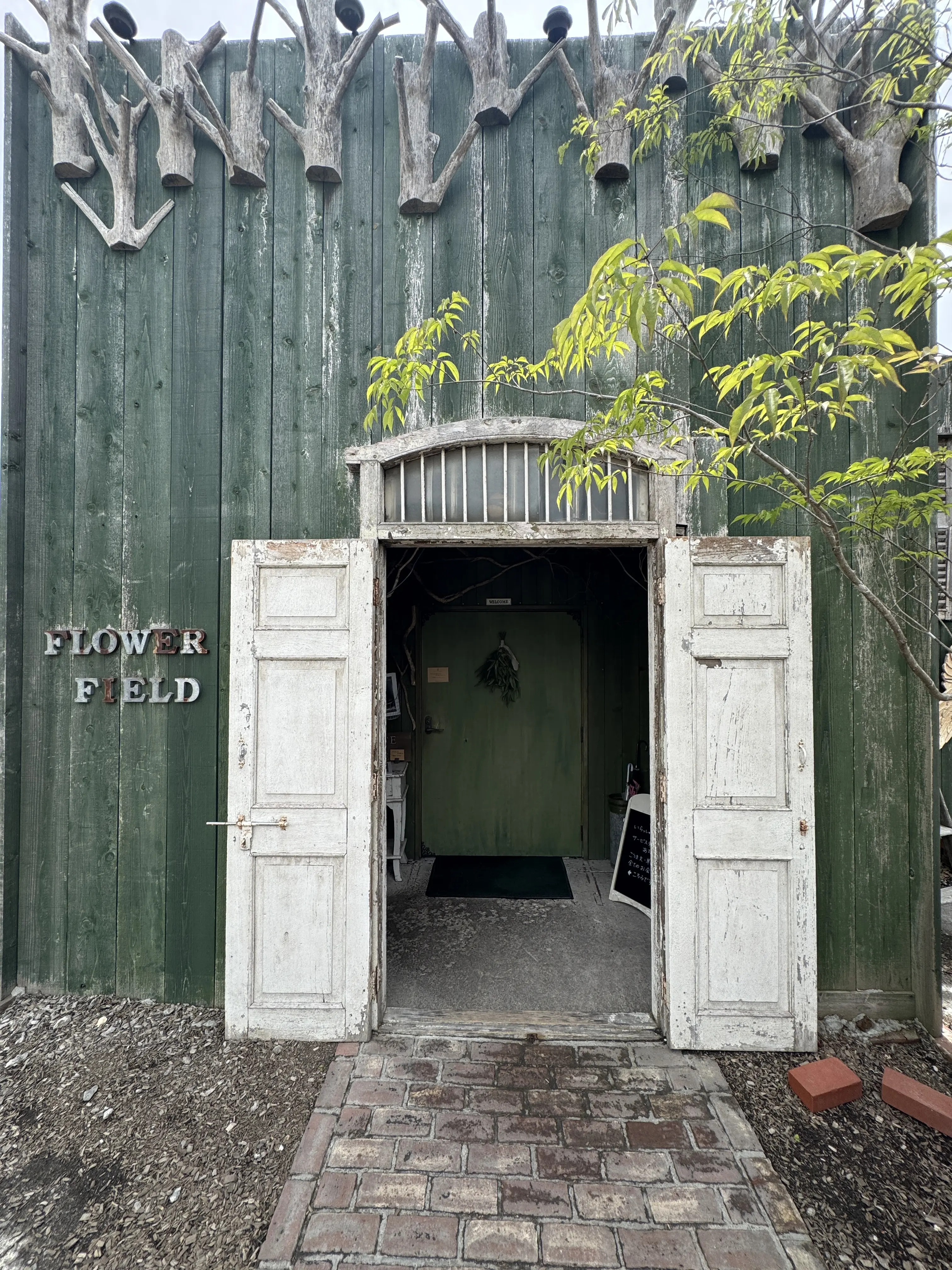 GATE FLOWER FIELD