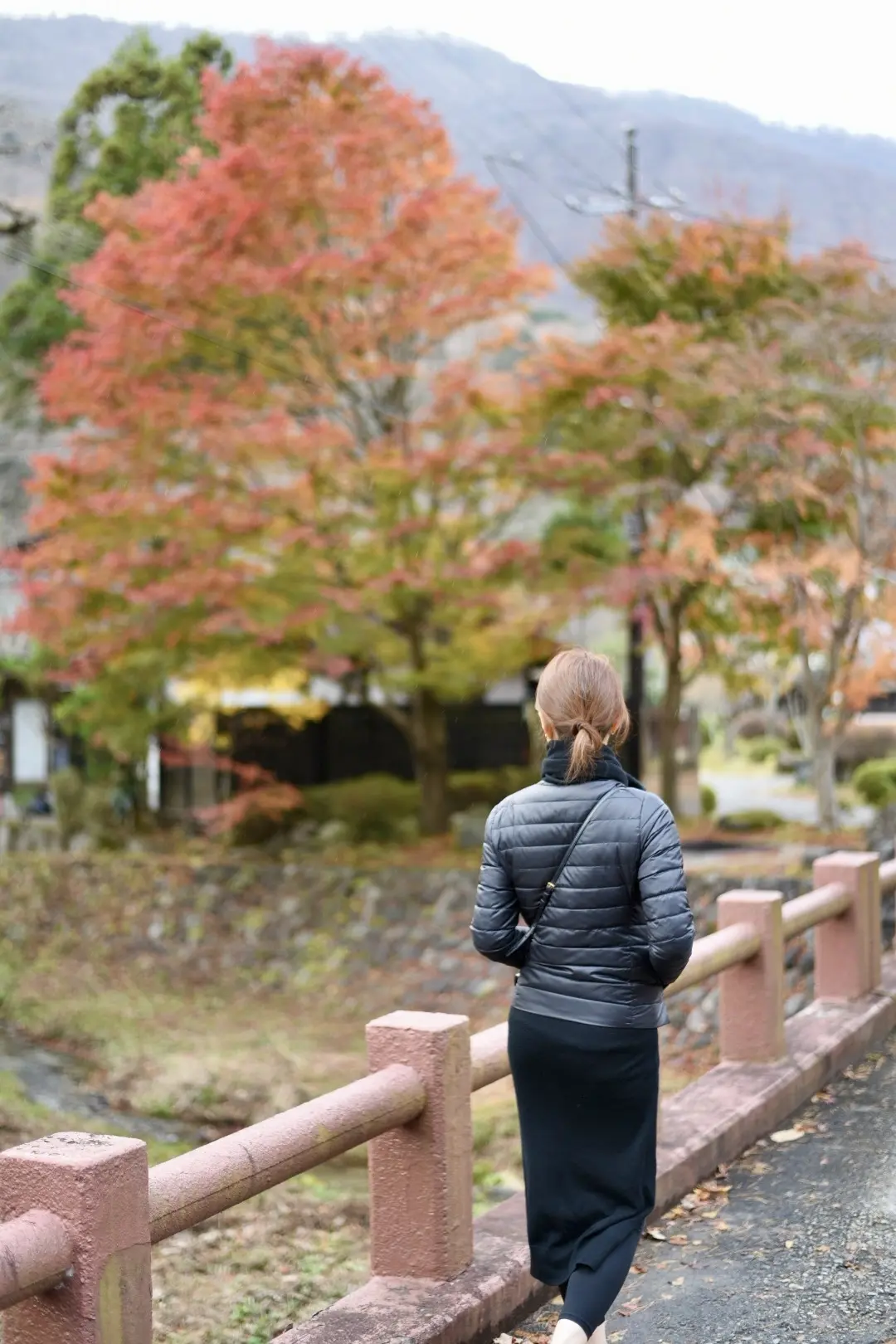 晩秋の那須高原へ紅葉狩りに_1_5