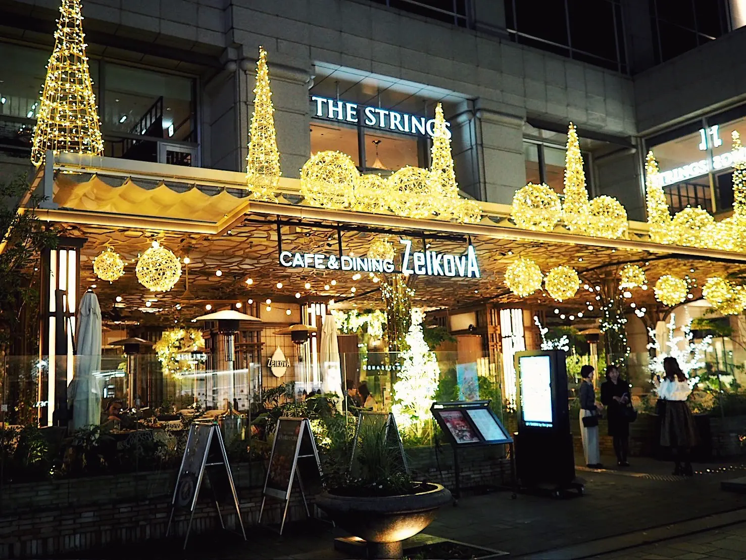 表参道のTHE STRINGS