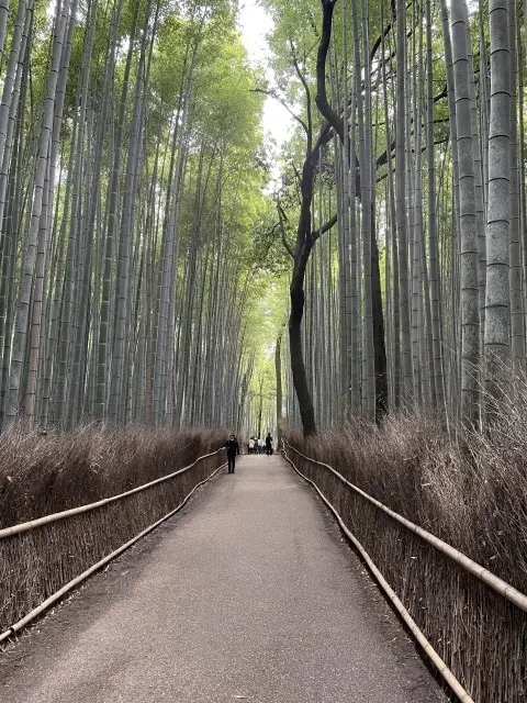 息子と奈良・京都旅行Part２_1_14-3