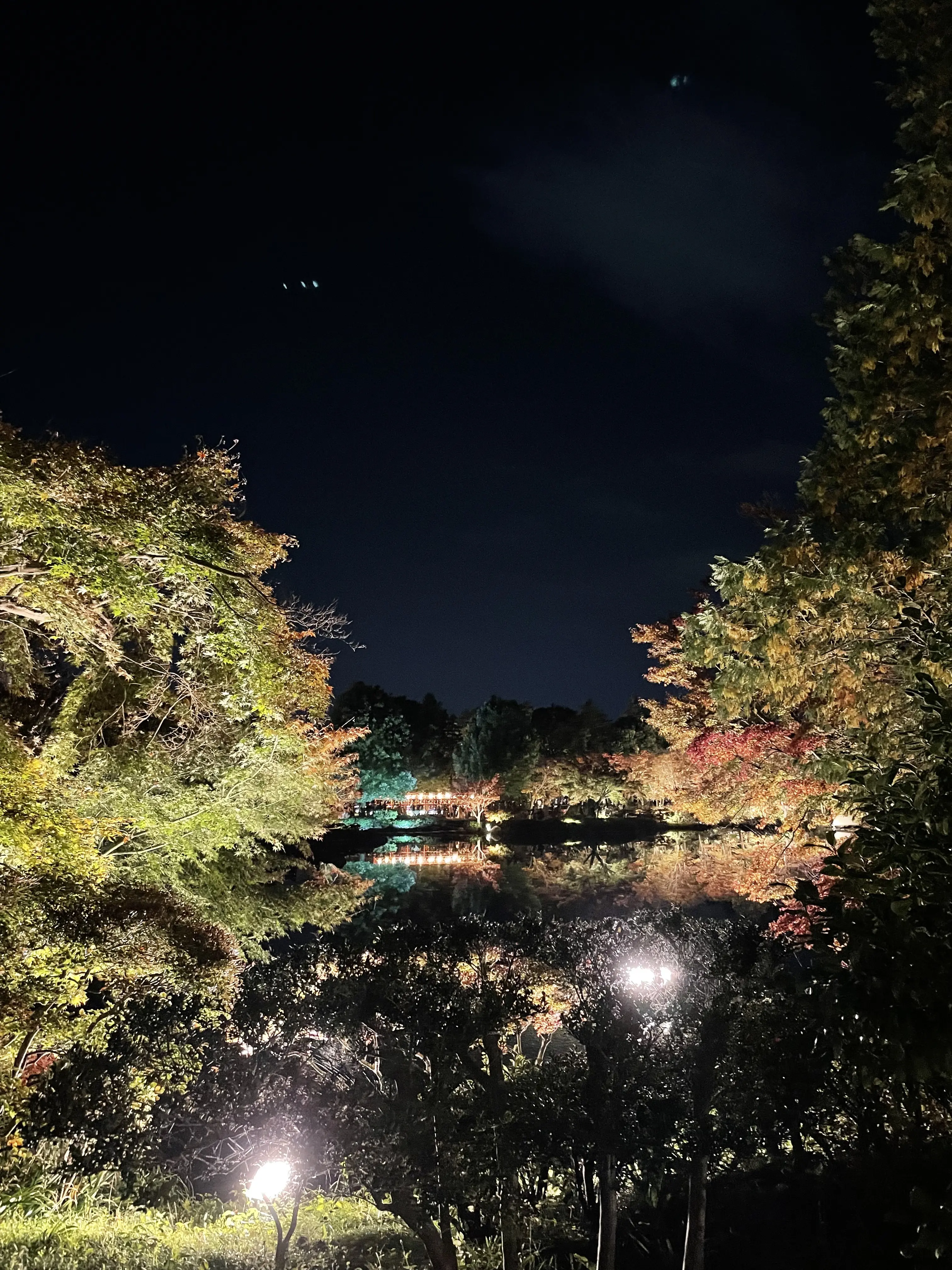 秋の夜散歩は最高に美しい景色でした。_1_4