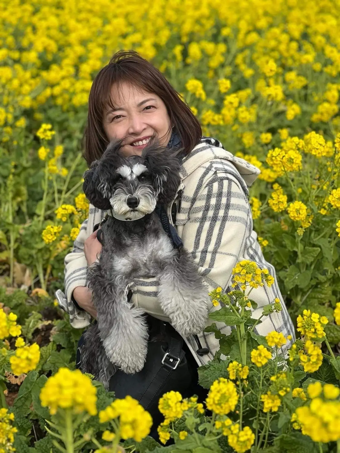 菜の花畑とコロニアル風ホテルへ | 華組 梅澤千佳子のブログ | 華組