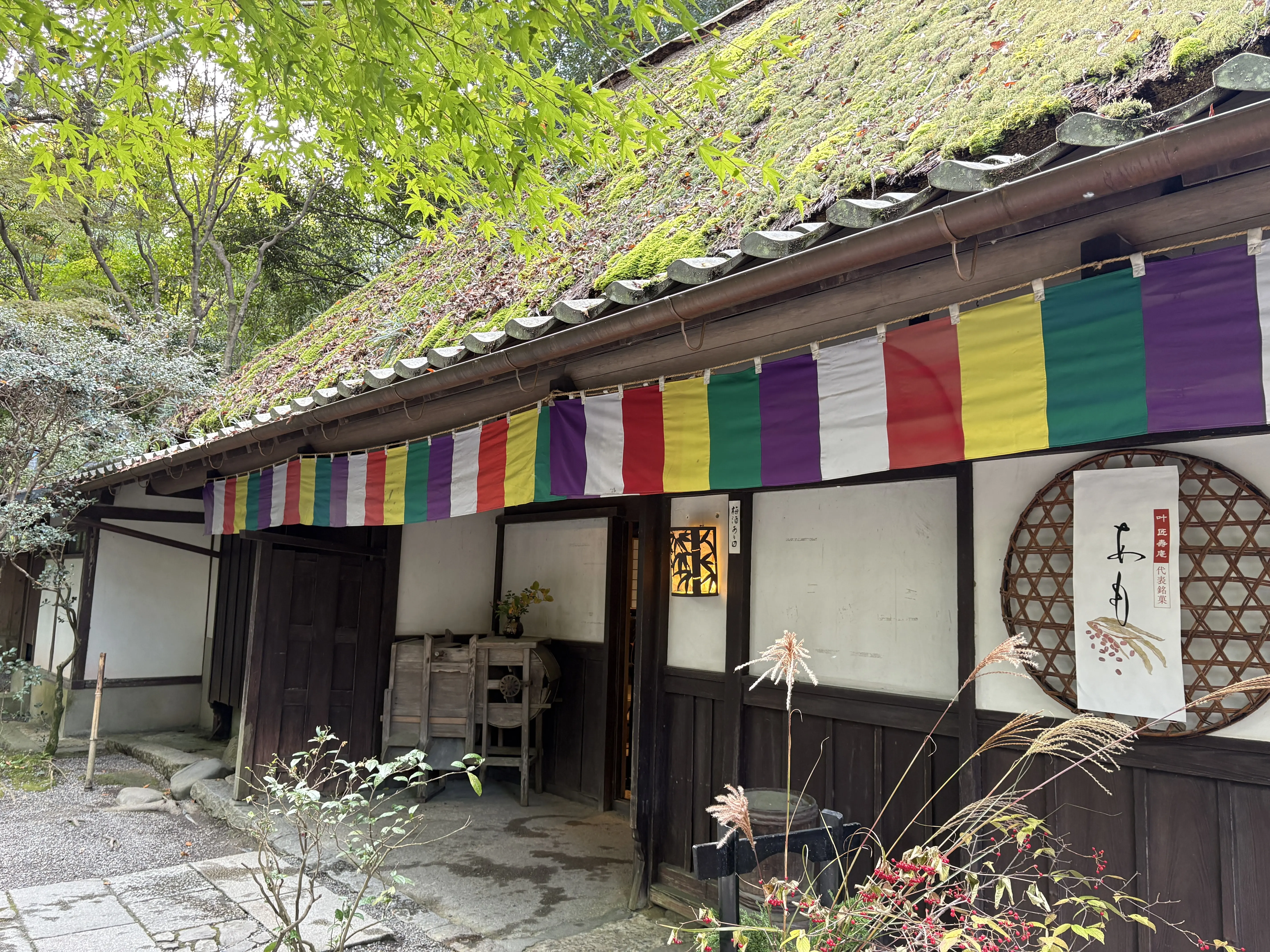 「父の誕生日ドライブ　―寿長生の里で過ごす、やさしい一日―」_1_2-1