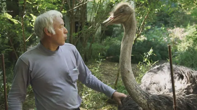 松村直登さんと震災後に迷子になっていたダチョウ