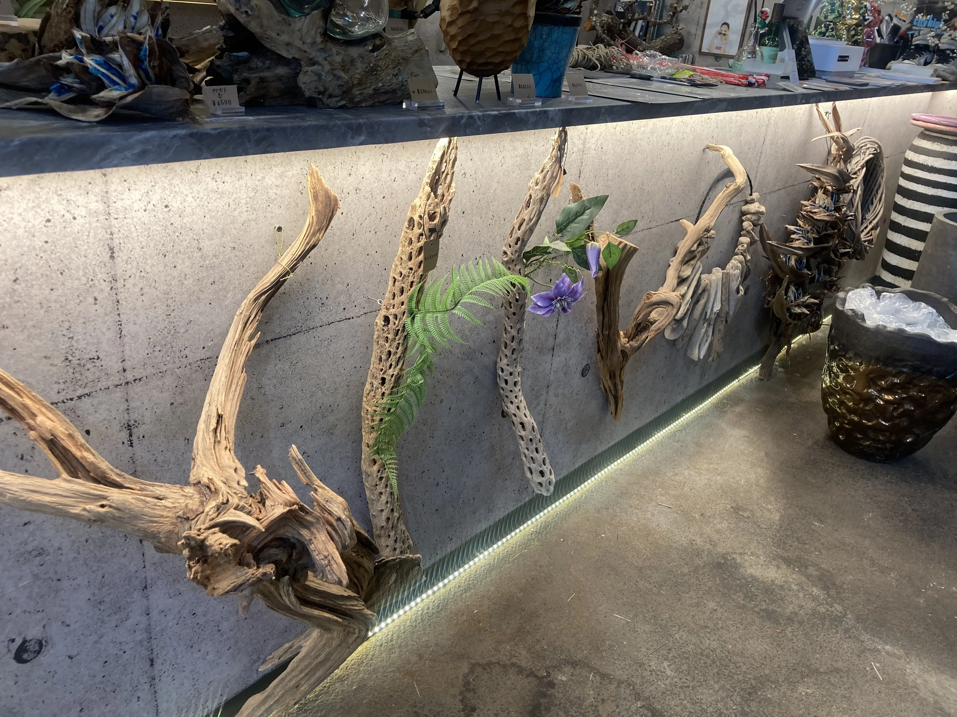 プチ・クリスマス気分を味わいに出かけました。_1_6