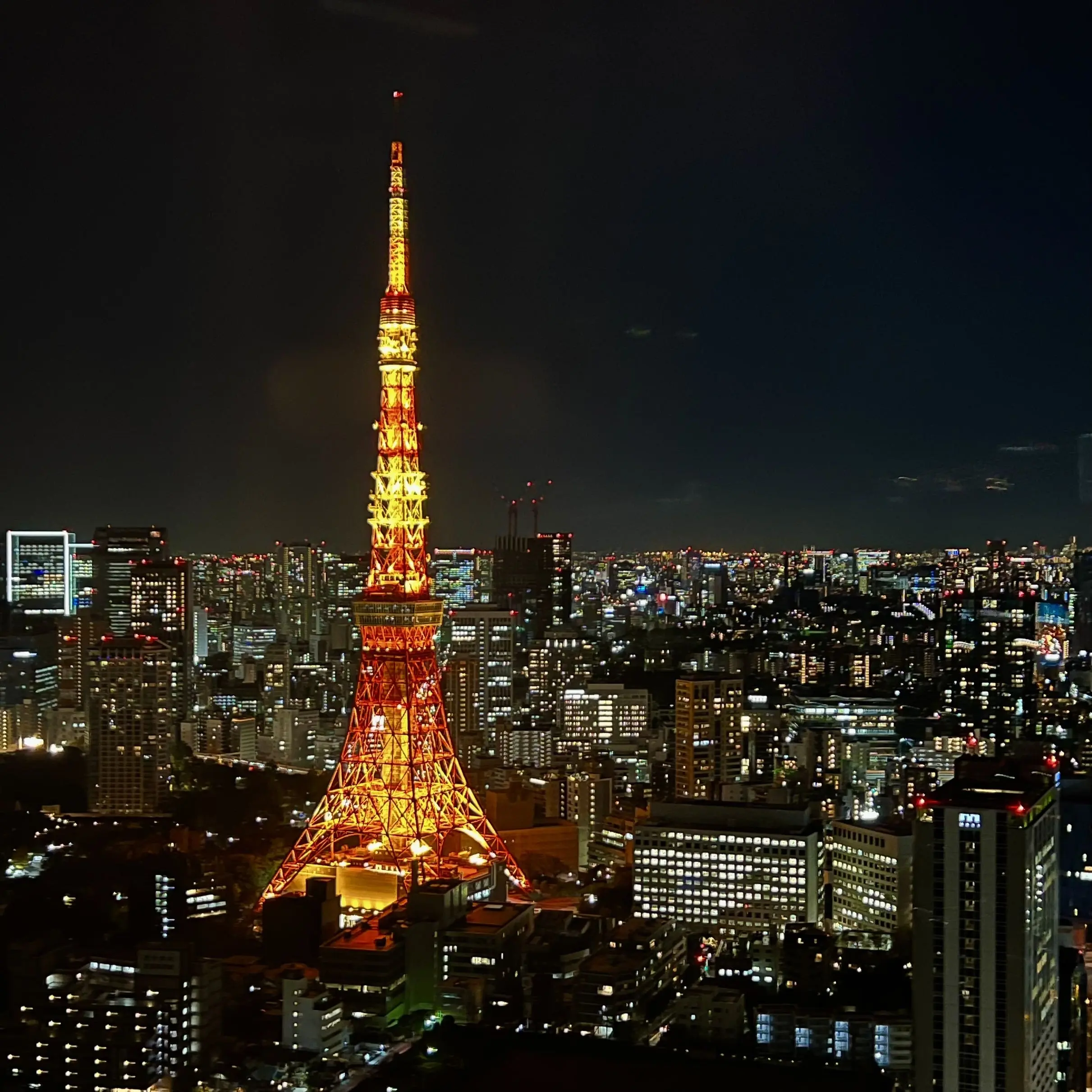 東京エディション虎ノ門　ペントハウススイート　窓からの景色　東京タワー