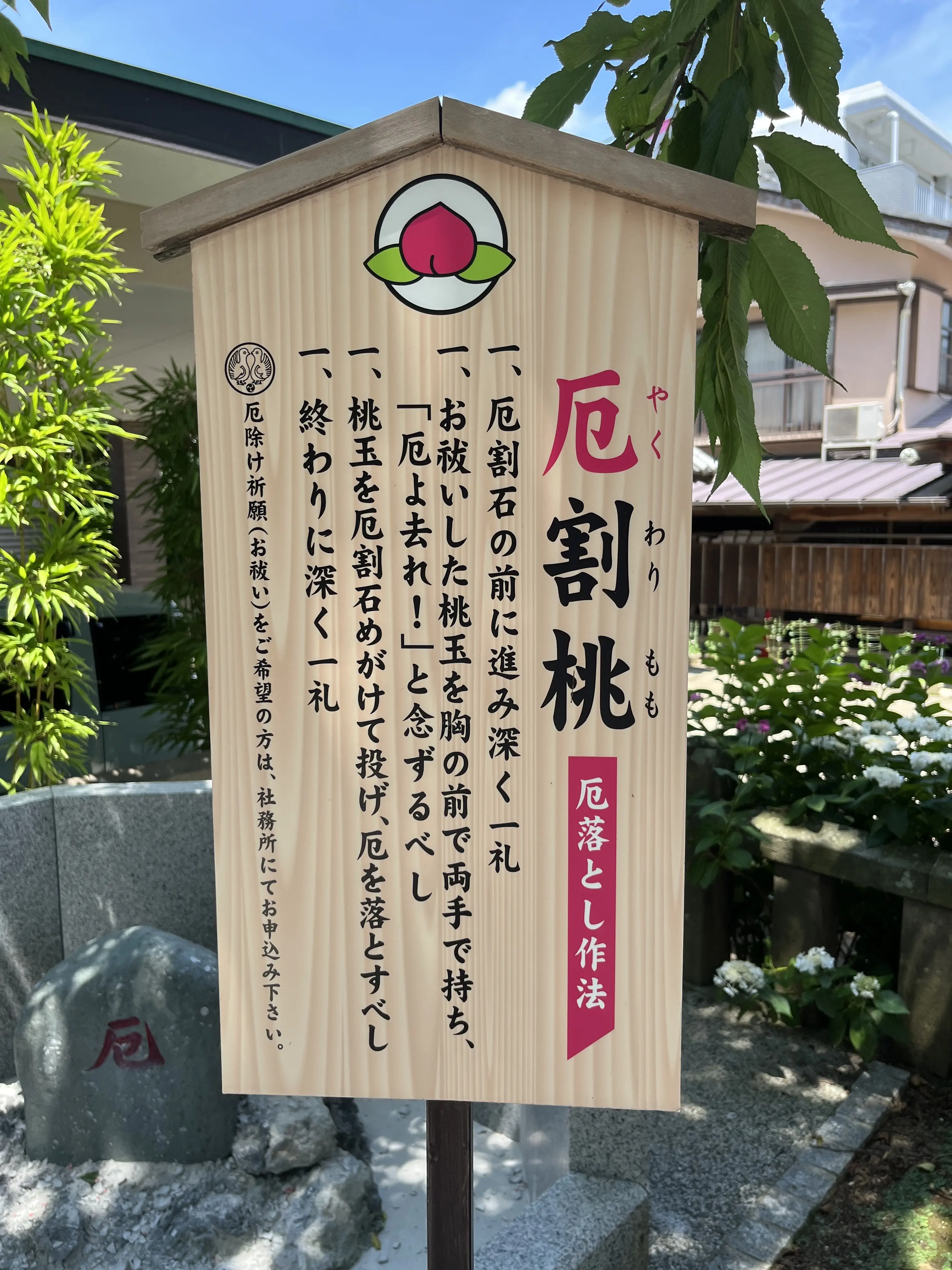 茅の輪くぐりと楽しみにしていたライブ_1_9
