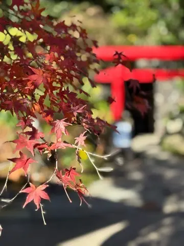 想像以上の絶景に出会えた神奈川の紅葉の見どころ〜北鎌倉・鎌倉編〜_1_7-2