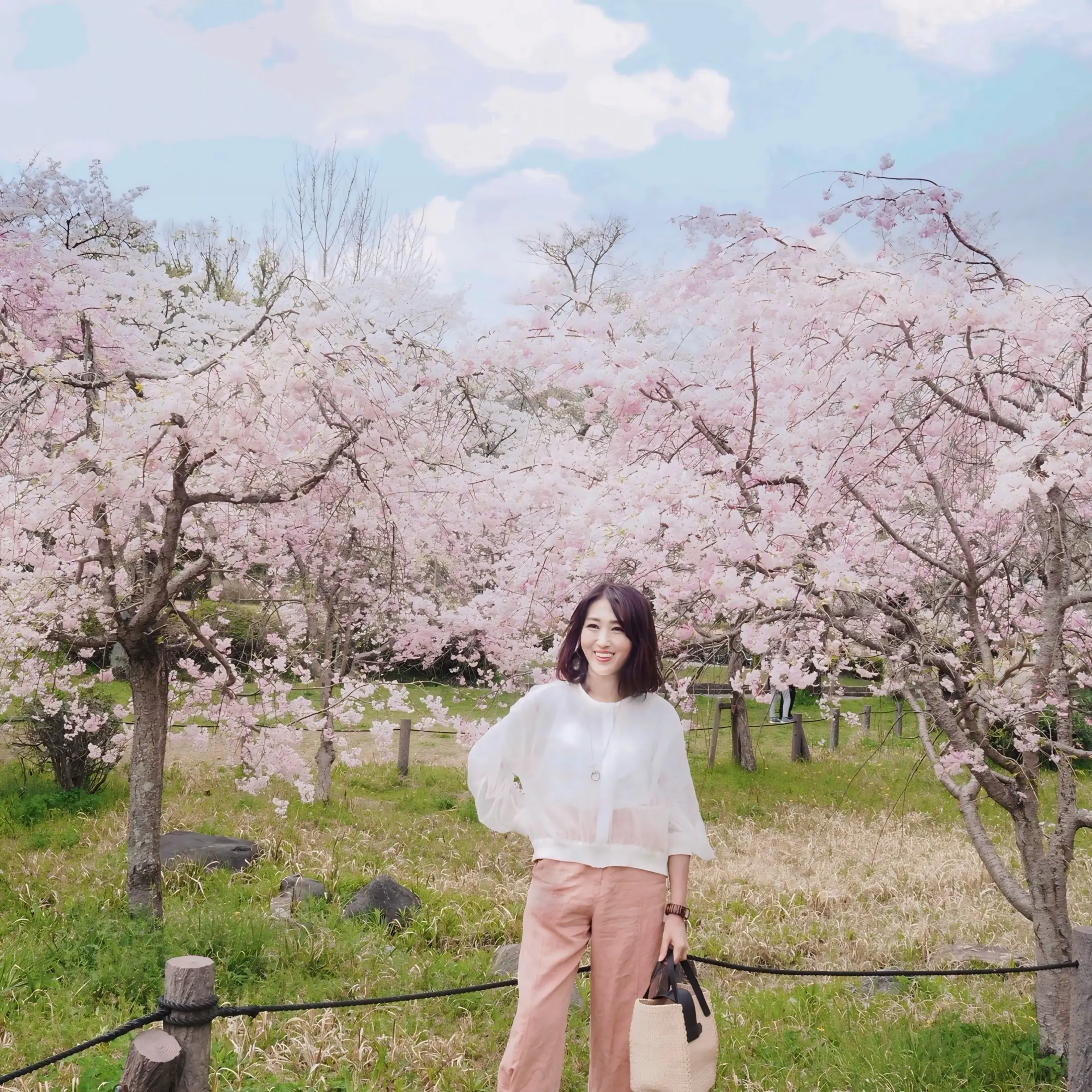 愛知県の桜の名所　