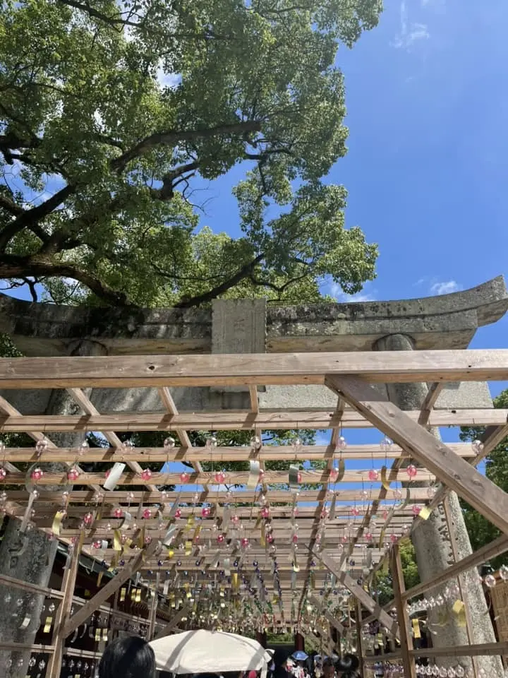 福岡旅行。大宰府でゆったり美術館と梅が枝餅の食べ比べに行ってきました。_1_8-1